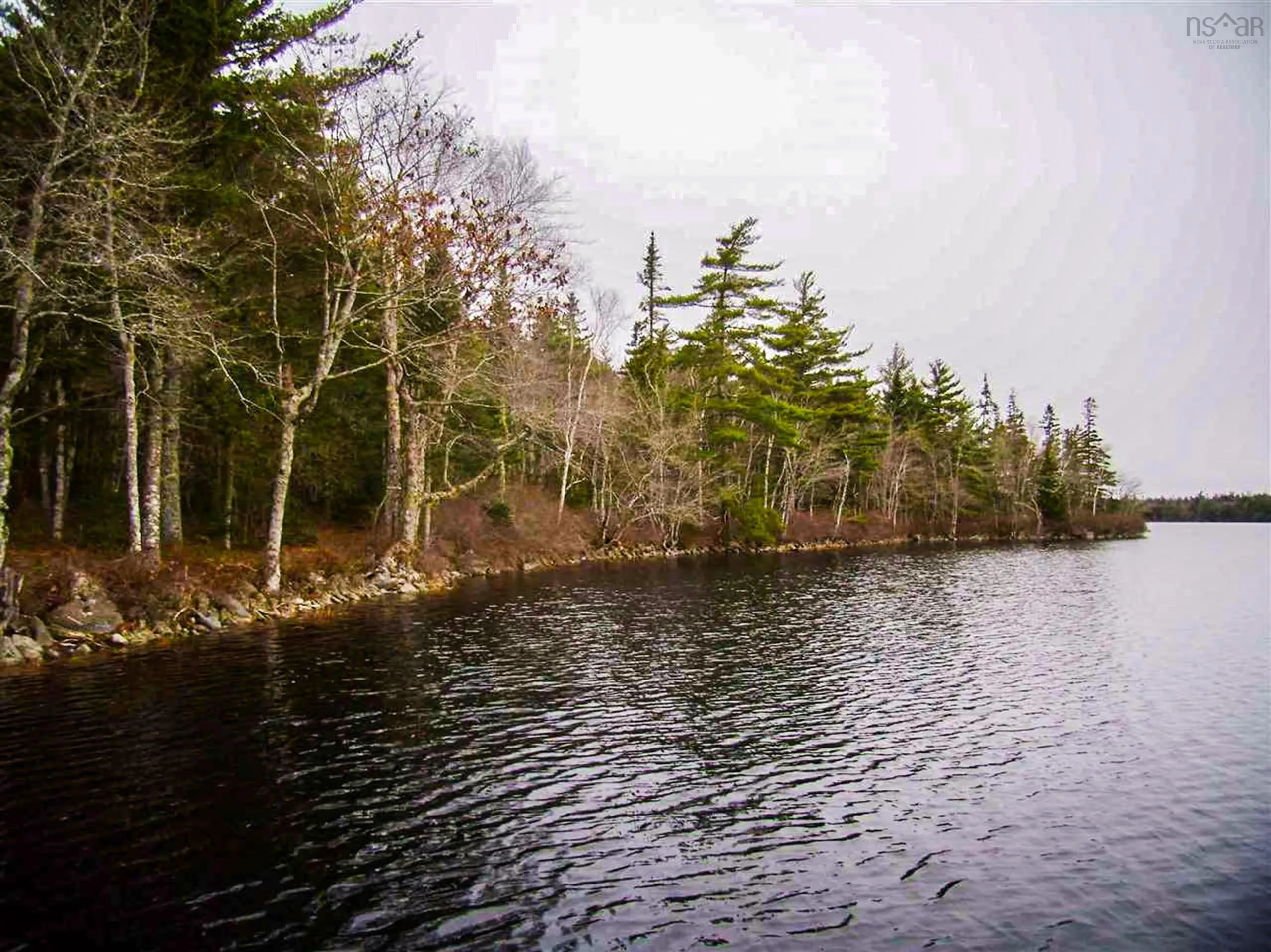 Silver Bullet Boulevard Lot 12, East Quinan Ns B0w 3m0, ,Land,For Sale,Silver Bullet,202505353