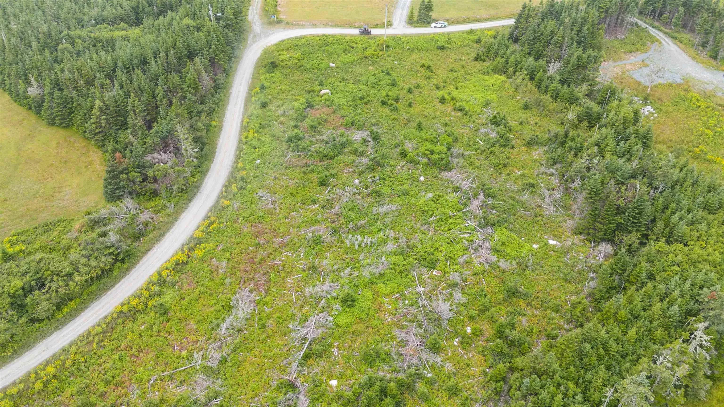 Okooda Path, Clam Bay, NS B0J 1K0, ,Land,For Sale,Okooda,202520755