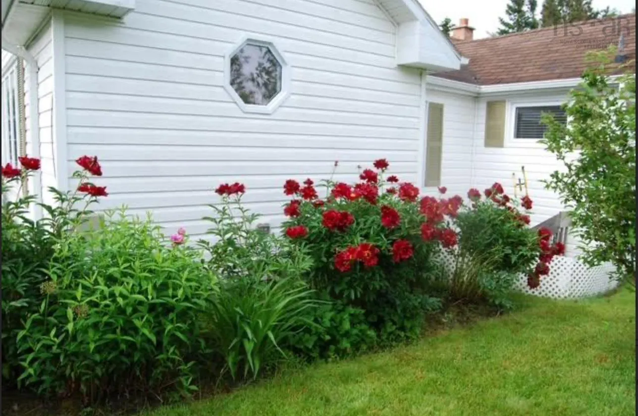 96 Forrest Street, Sydney Mines, NS B1V 2B5, 2 Bedrooms Bedrooms, ,1 BathroomBathrooms,Residential,For Sale,Forrest,202517734