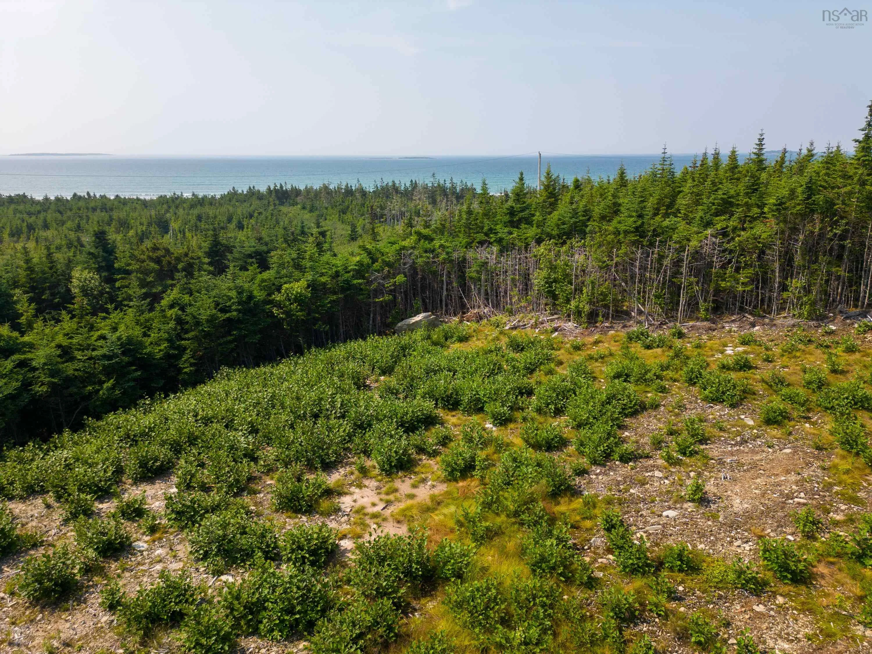 122-23 Soonul Lane, Clam Bay, NS B0J 2L0, ,Land,For Sale,Soonul,202512965