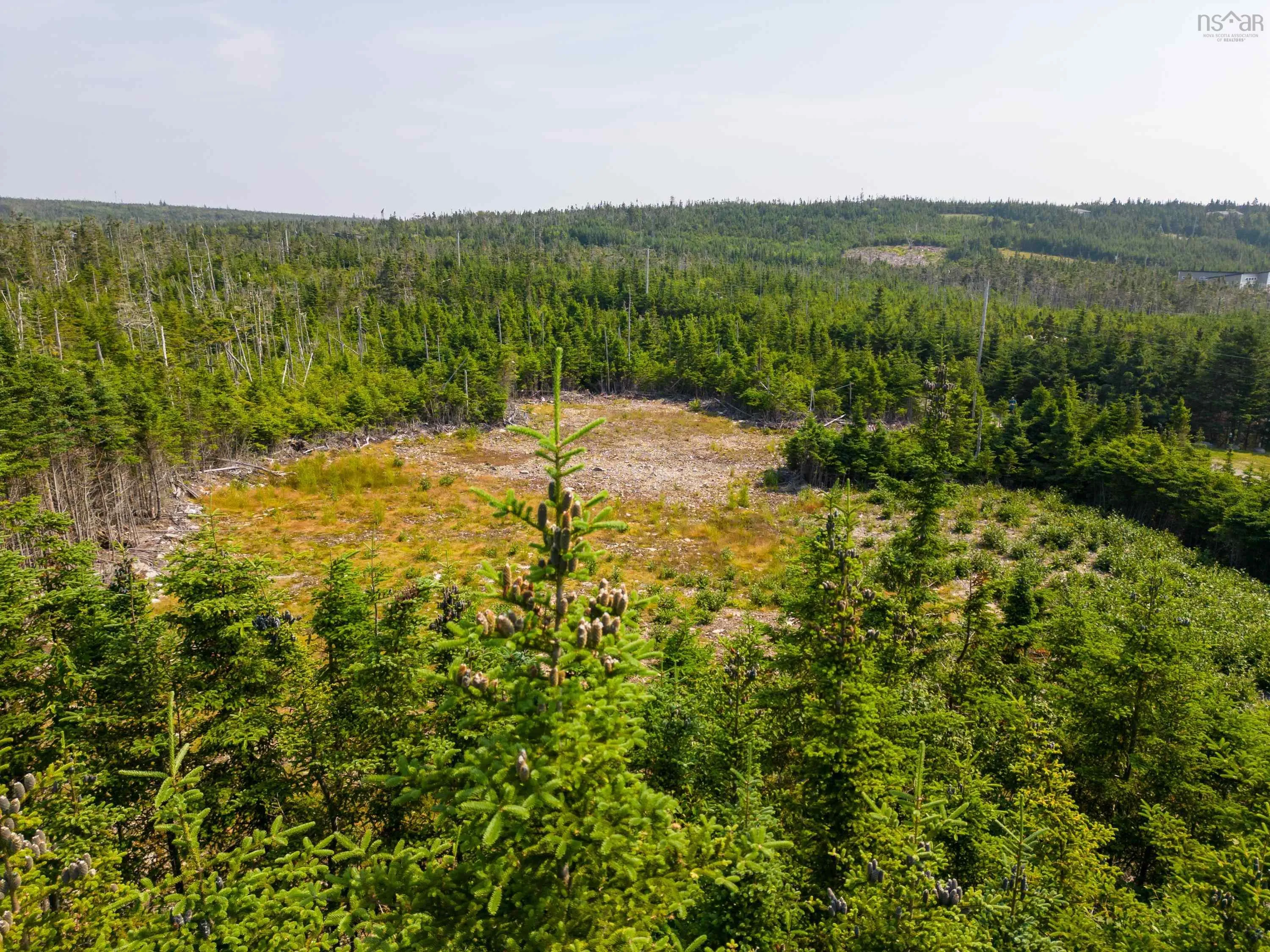 122-23 Soonul Lane, Clam Bay, NS B0J 2L0, ,Land,For Sale,Soonul,202512965