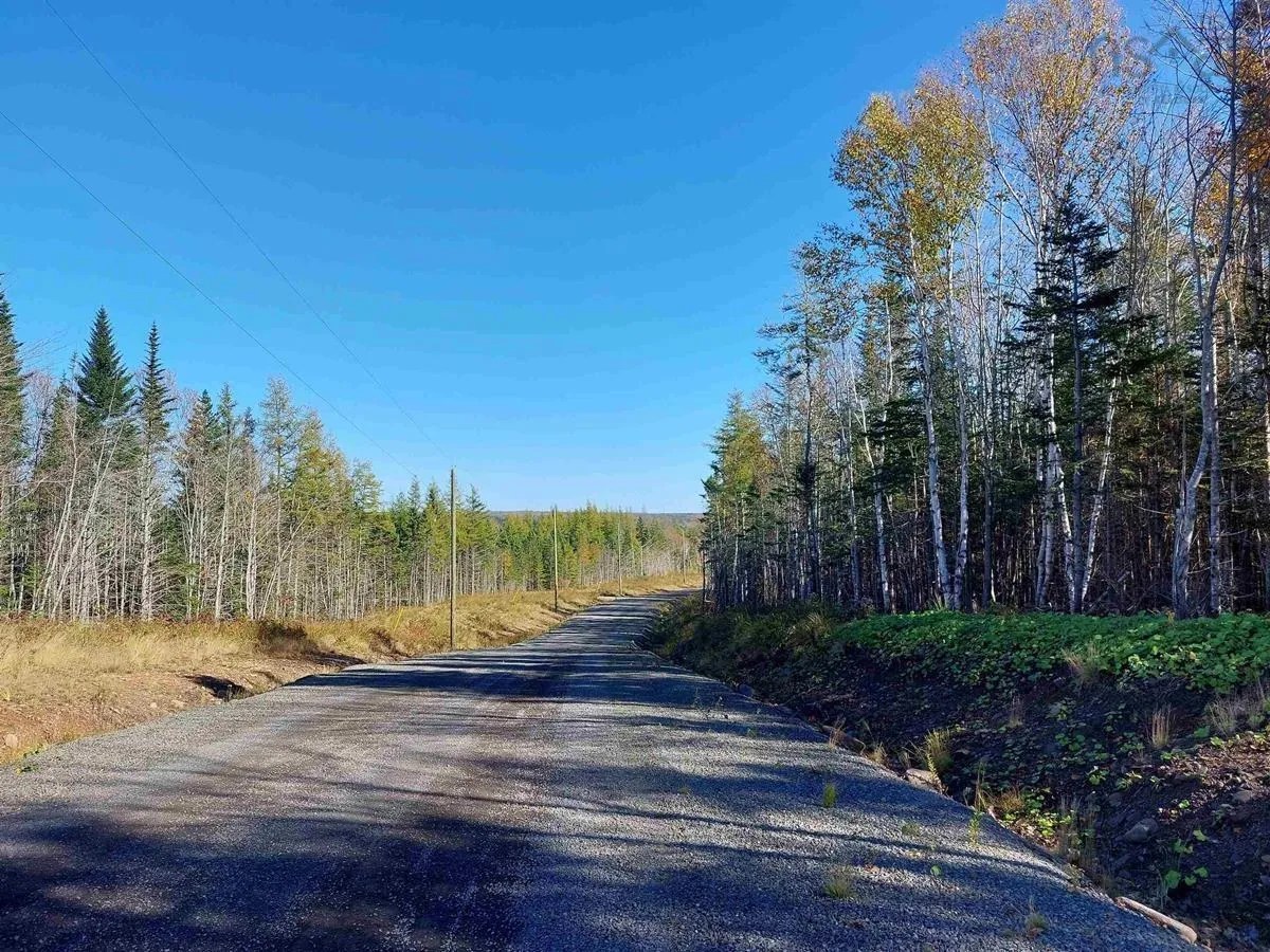 Lot 40 Beaver Lane Lane, Grantville, NS B0E 1J0, ,Land,For Sale,Beaver Lane,202523661