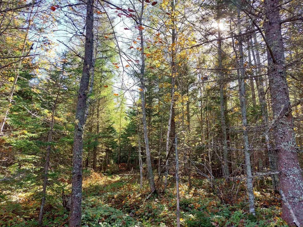 Lot 40 Beaver Lane Lane, Grantville, NS B0E 1J0, ,Land,For Sale,Beaver Lane,202523661
