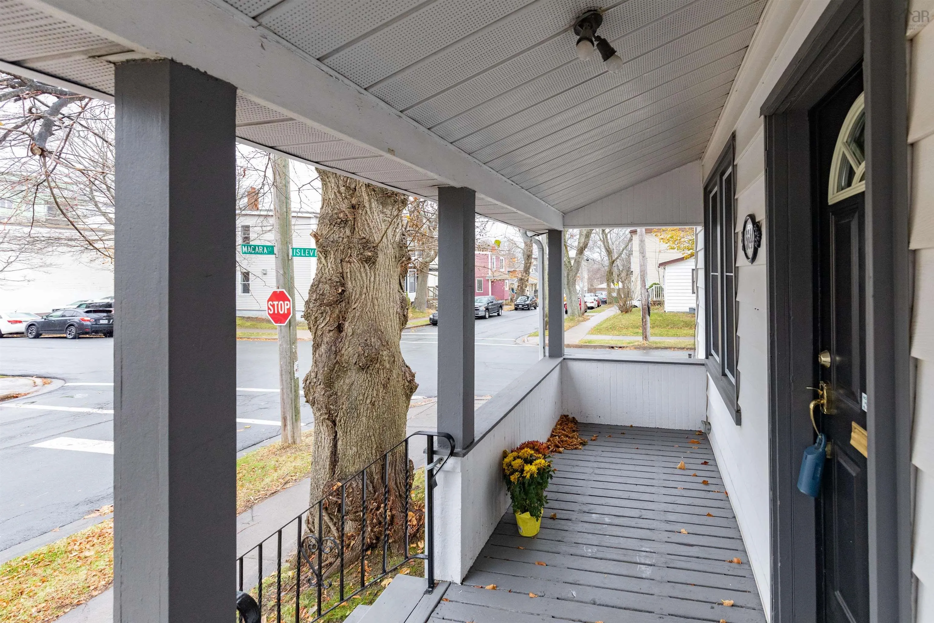5644 Macara Street, Halifax Ns B3k 1w2, ,Land,For Sale,Macara,202507303
