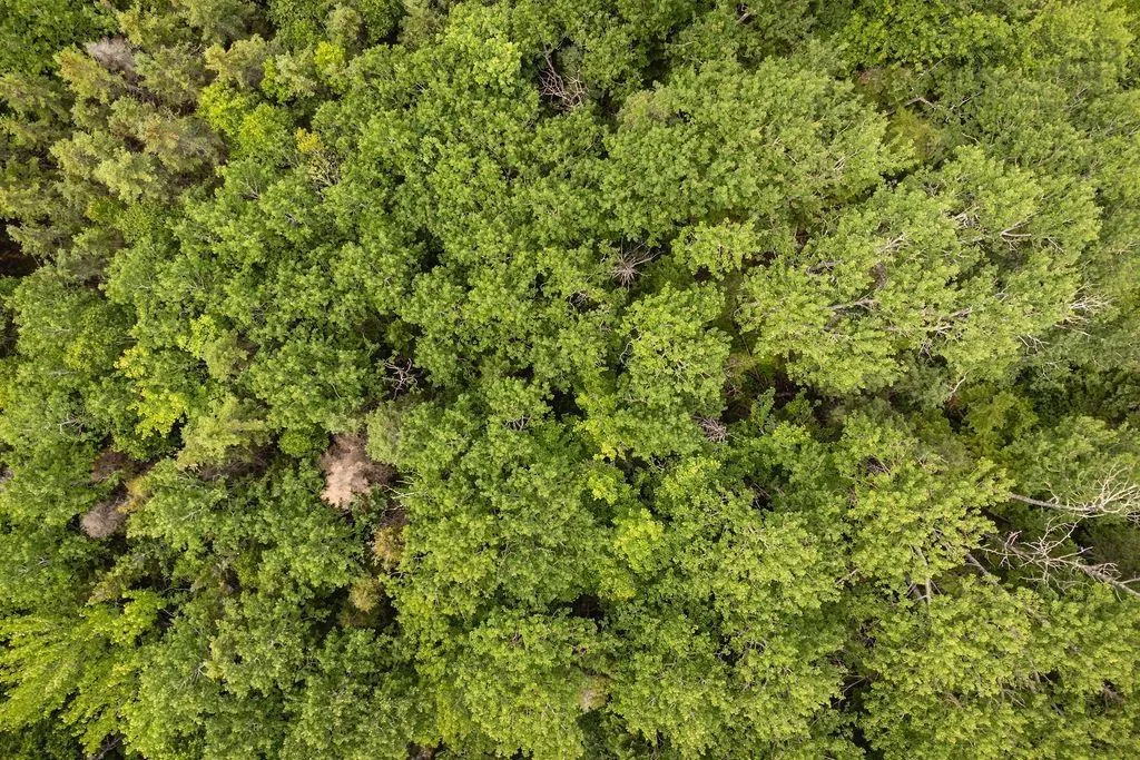 Lot 1a 342 Mabou Harbour Road, Mabou Ns B0e 1x0, ,Land,For Sale,342 Mabou Harbour,202402663