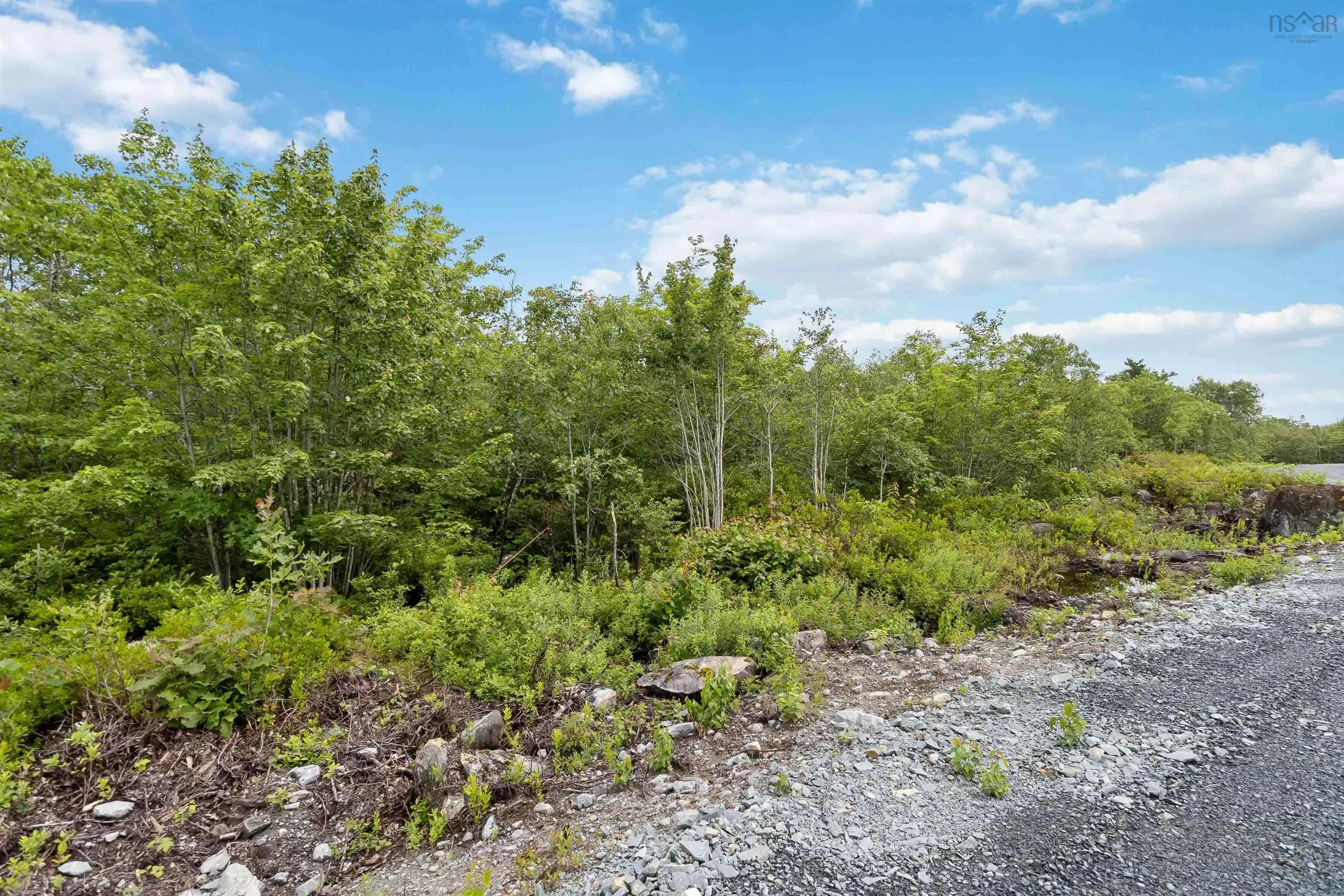 Maple Ridge Drive Lot 6, White Point, NS B0T 1K0, ,Land,For Sale,Maple Ridge,202521911