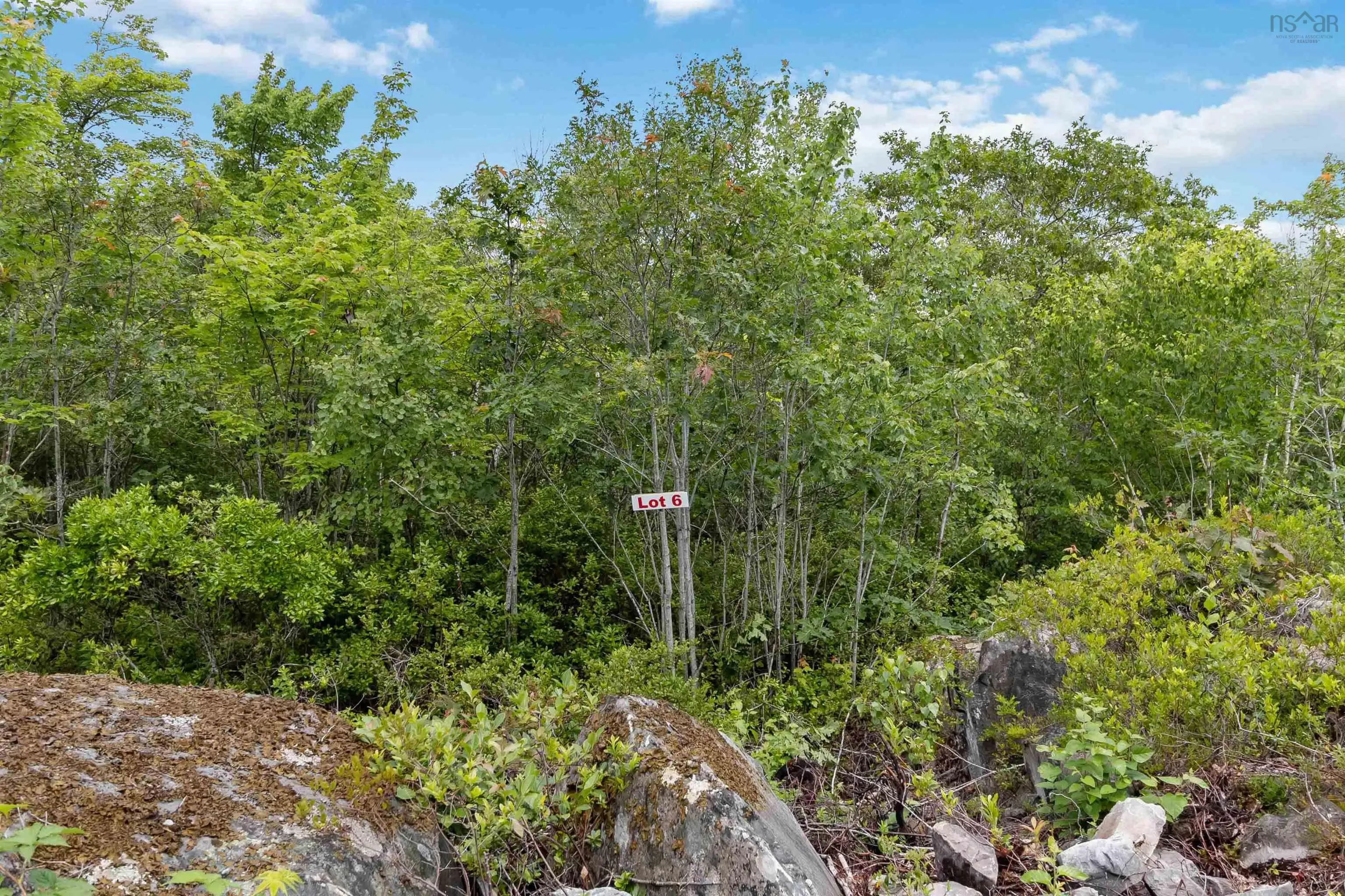 Maple Ridge Drive Lot 6, White Point, NS B0T 1K0, ,Land,For Sale,Maple Ridge,202521911