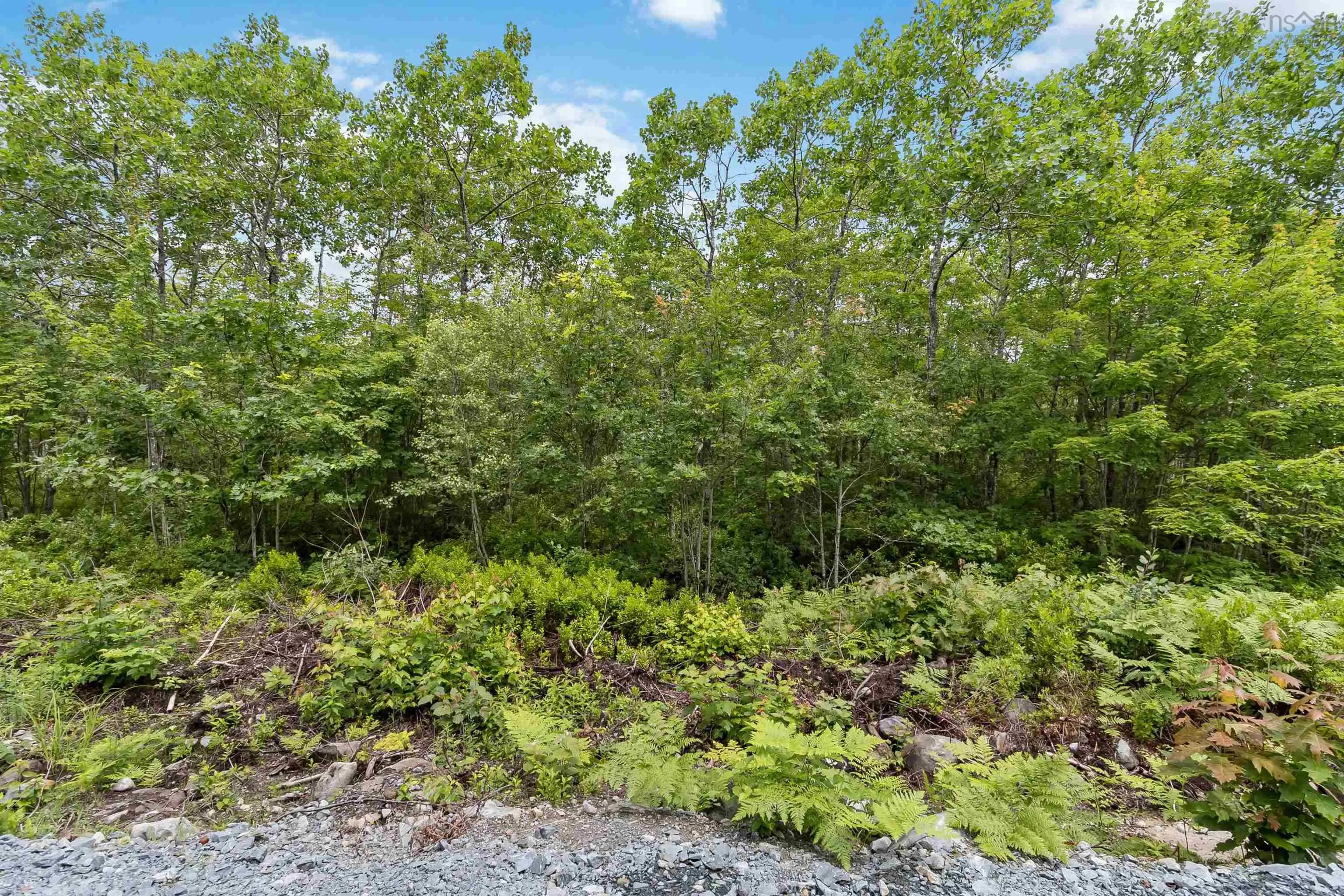 Maple Ridge Drive Lot 6, White Point, NS B0T 1K0, ,Land,For Sale,Maple Ridge,202521911