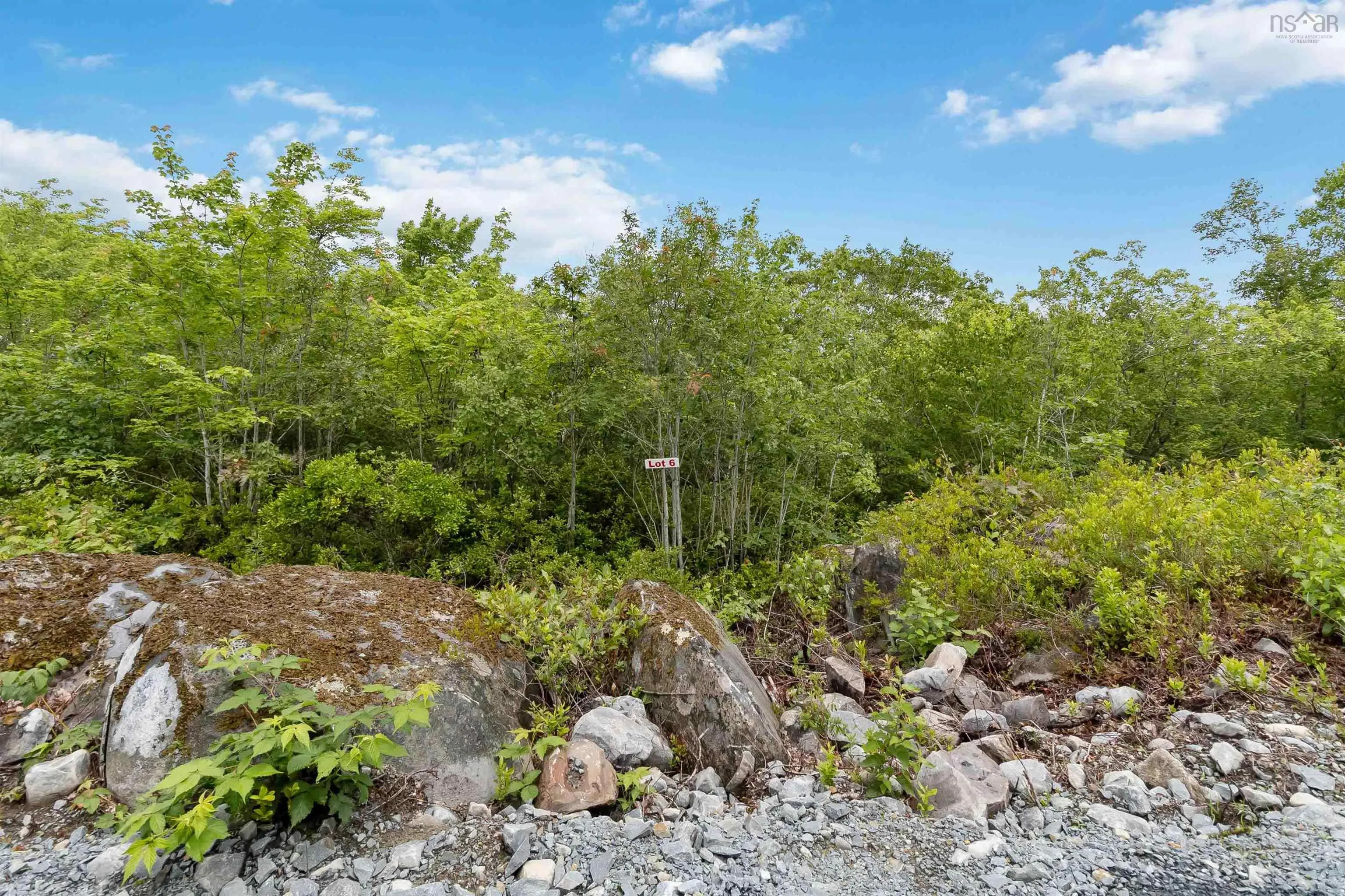 Maple Ridge Drive Lot 6, White Point, NS B0T 1K0, ,Land,For Sale,Maple Ridge,202521911