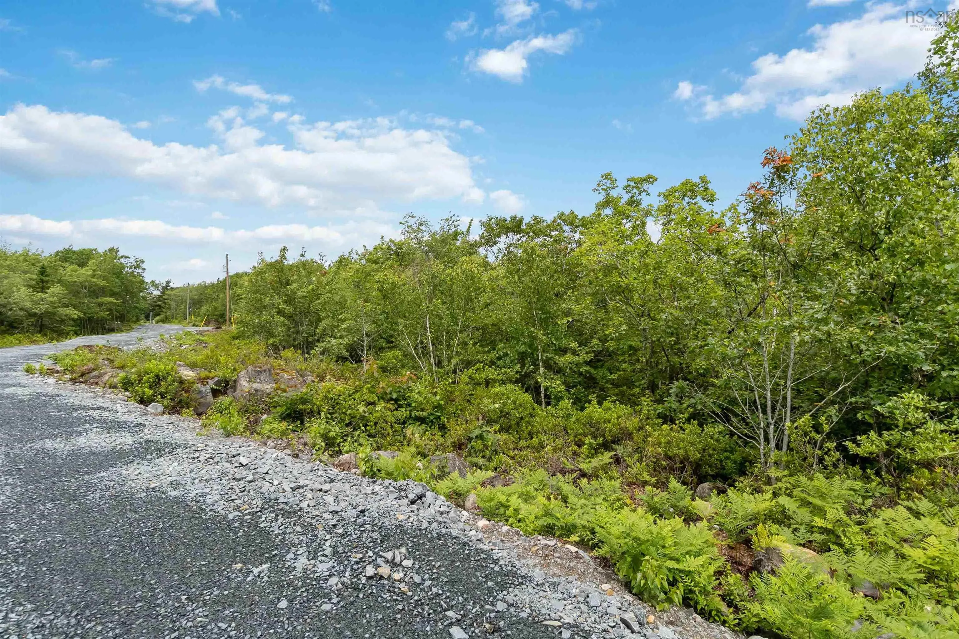 Maple Ridge Drive Lot 6, White Point, NS B0T 1K0, ,Land,For Sale,Maple Ridge,202521911