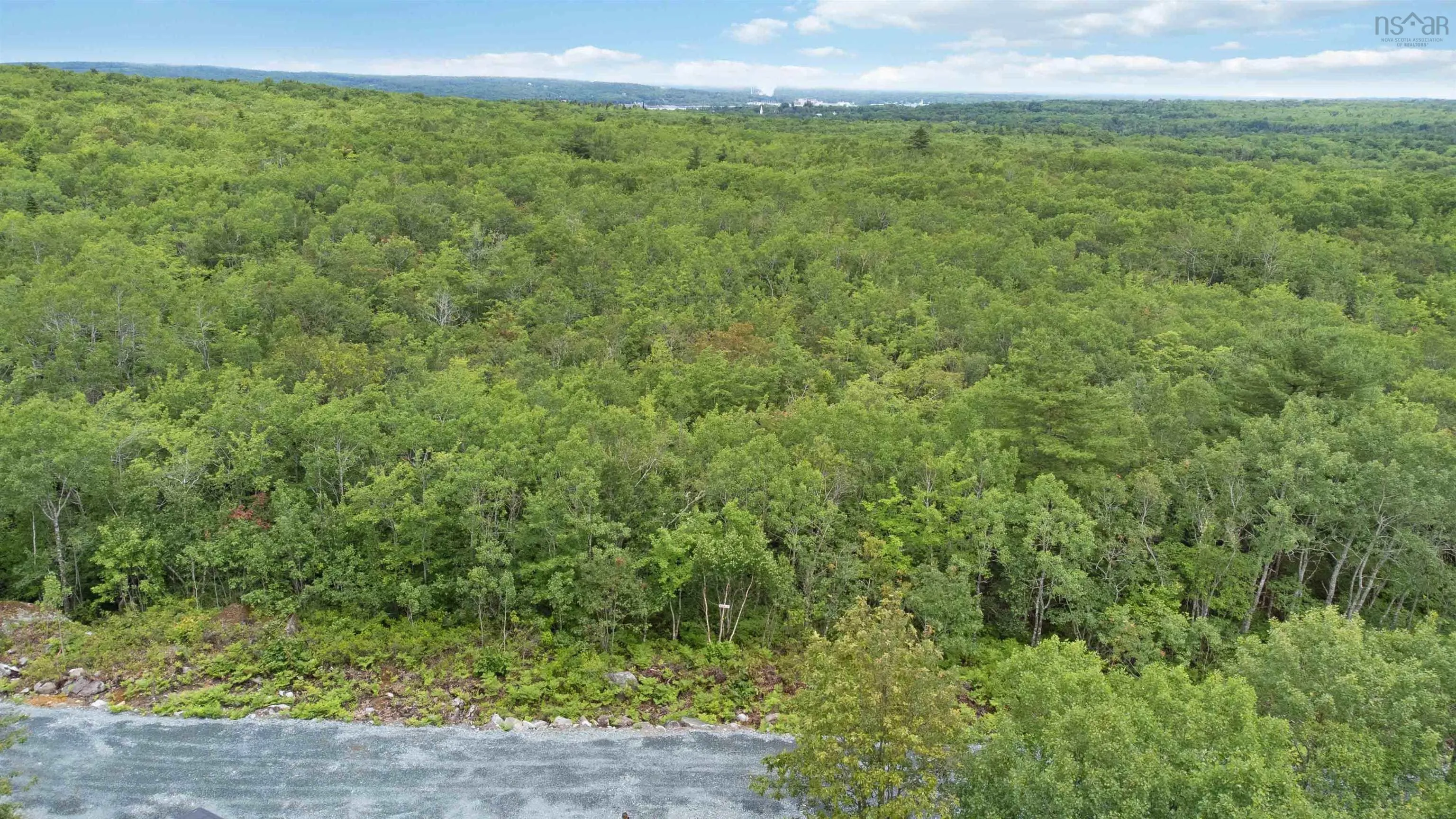Maple Ridge Drive Lot 6, White Point, NS B0T 1K0, ,Land,For Sale,Maple Ridge,202521911
