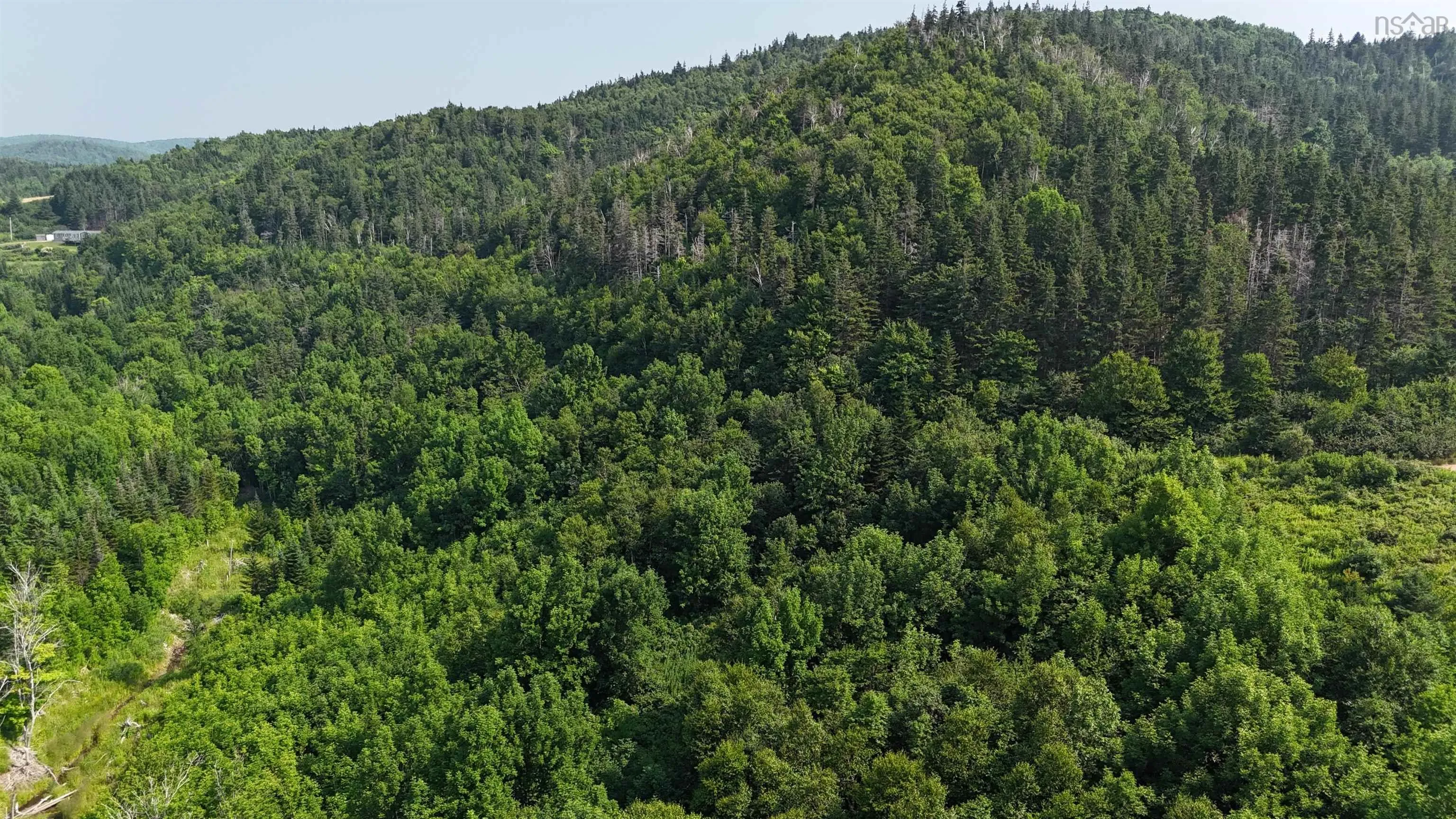 798 Mountain Road, Mabou Mines, NS B0E 1X0, ,Land,For Sale,Mountain,202518072