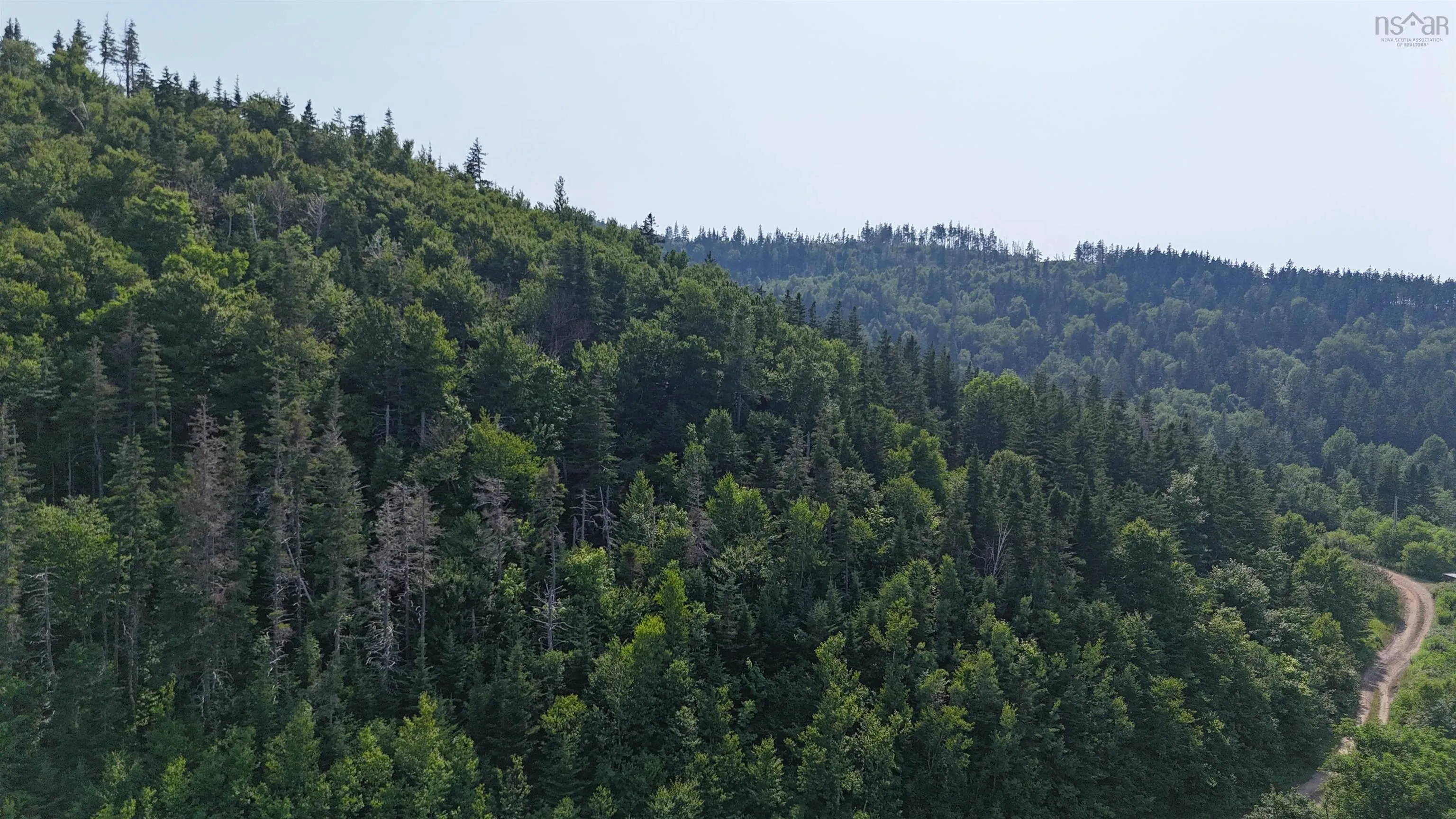 798 Mountain Road, Mabou Mines, NS B0E 1X0, ,Land,For Sale,Mountain,202518072