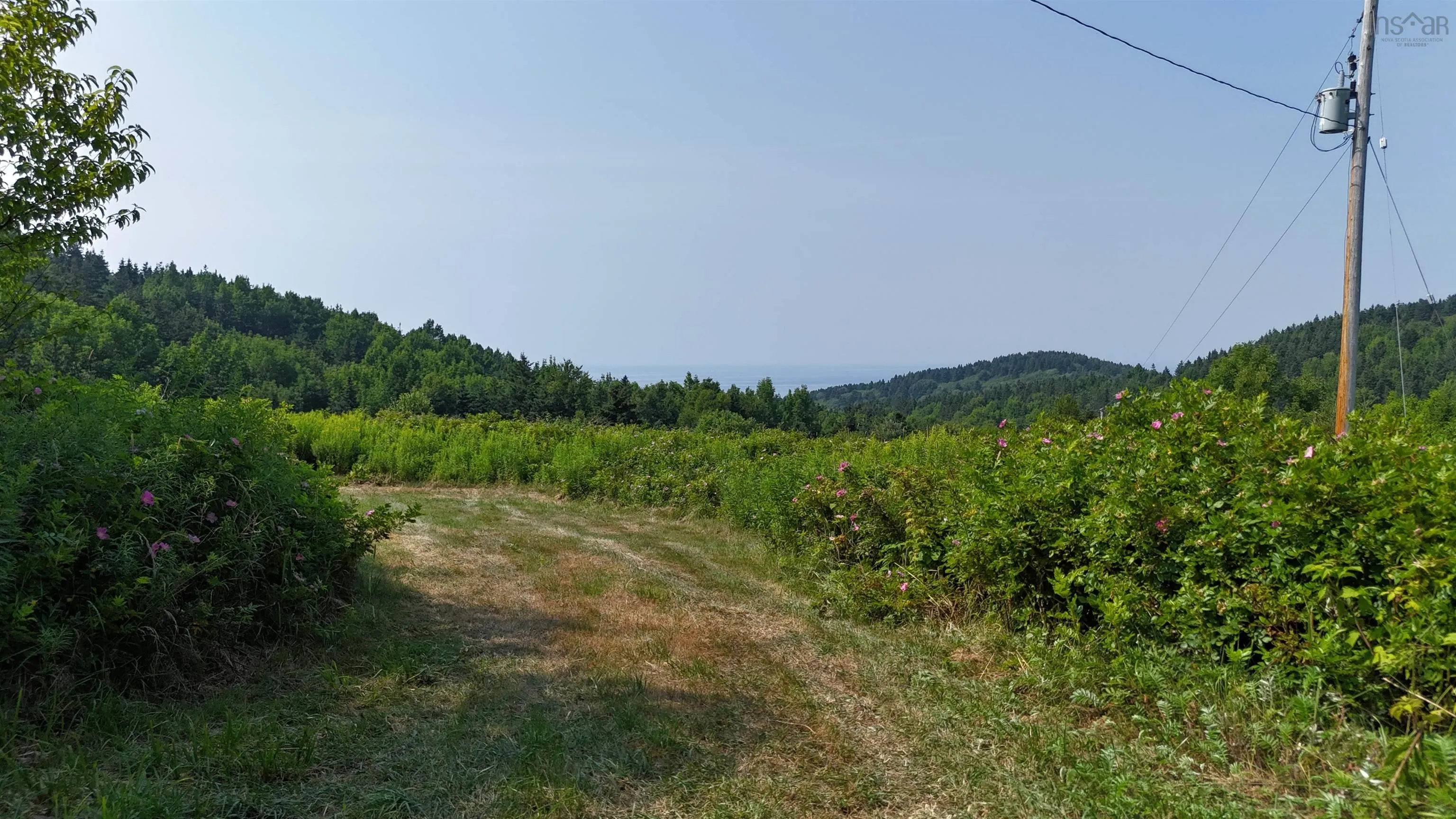 798 Mountain Road, Mabou Mines, NS B0E 1X0, ,Land,For Sale,Mountain,202518072