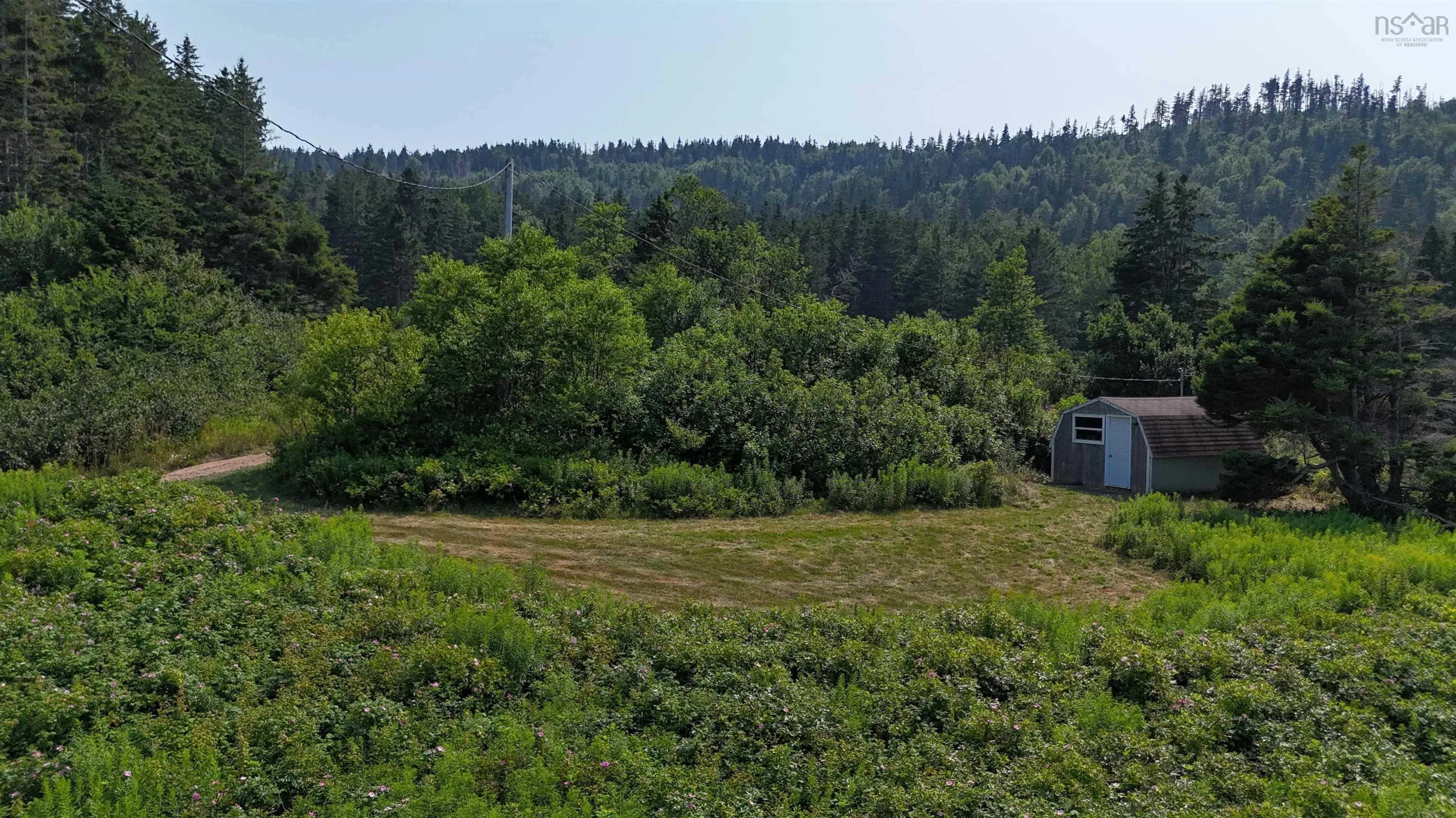 798 Mountain Road, Mabou Mines, NS B0E 1X0, ,Land,For Sale,Mountain,202518072