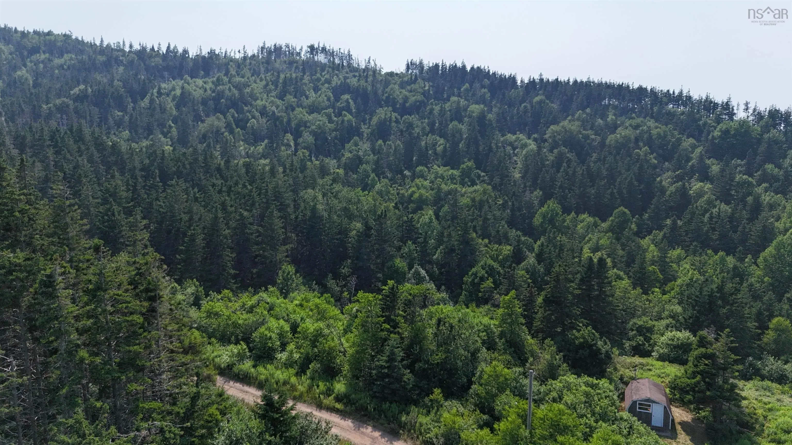 798 Mountain Road, Mabou Mines, NS B0E 1X0, ,Land,For Sale,Mountain,202518072
