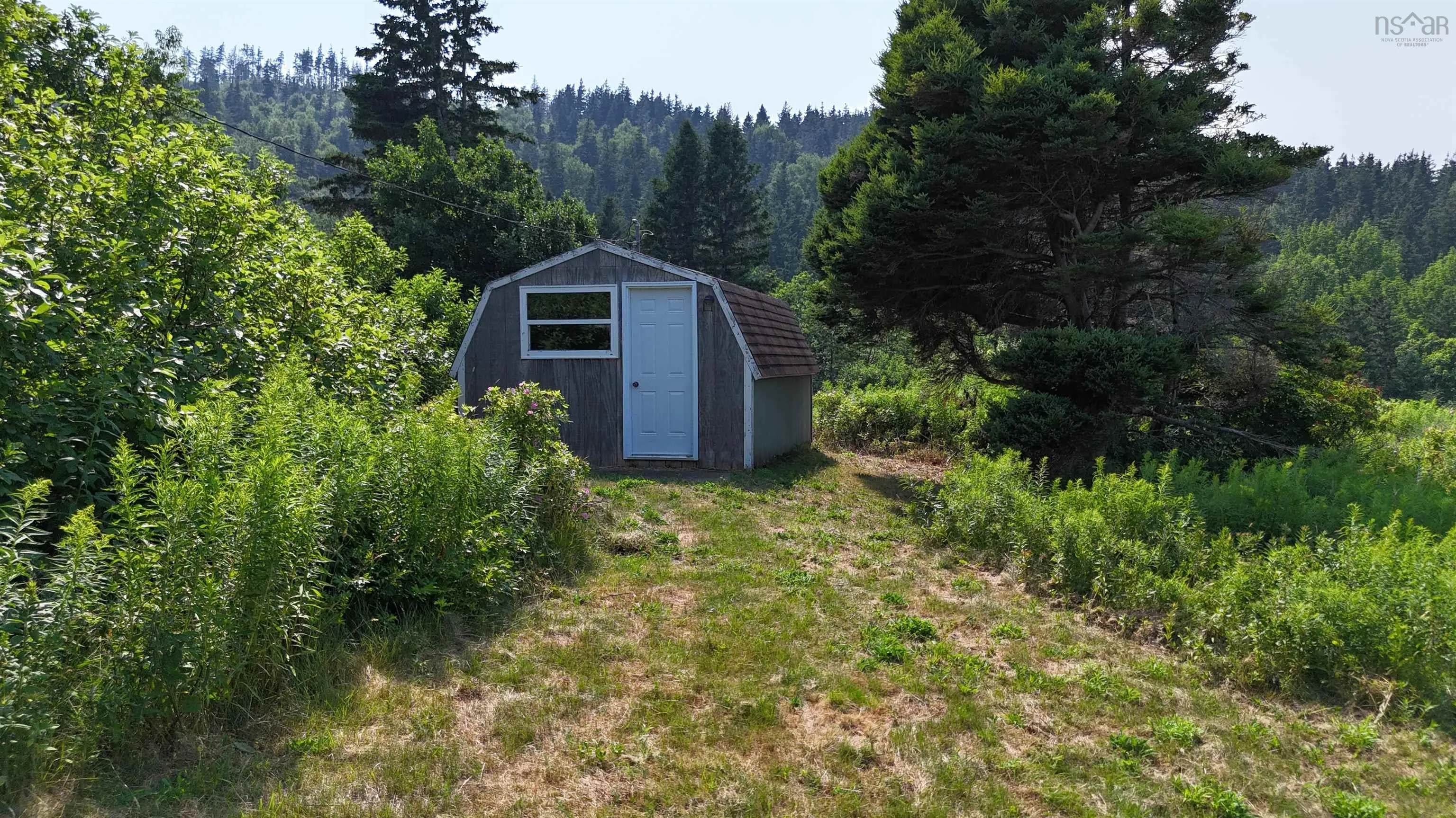 798 Mountain Road, Mabou Mines, NS B0E 1X0, ,Land,For Sale,Mountain,202518072