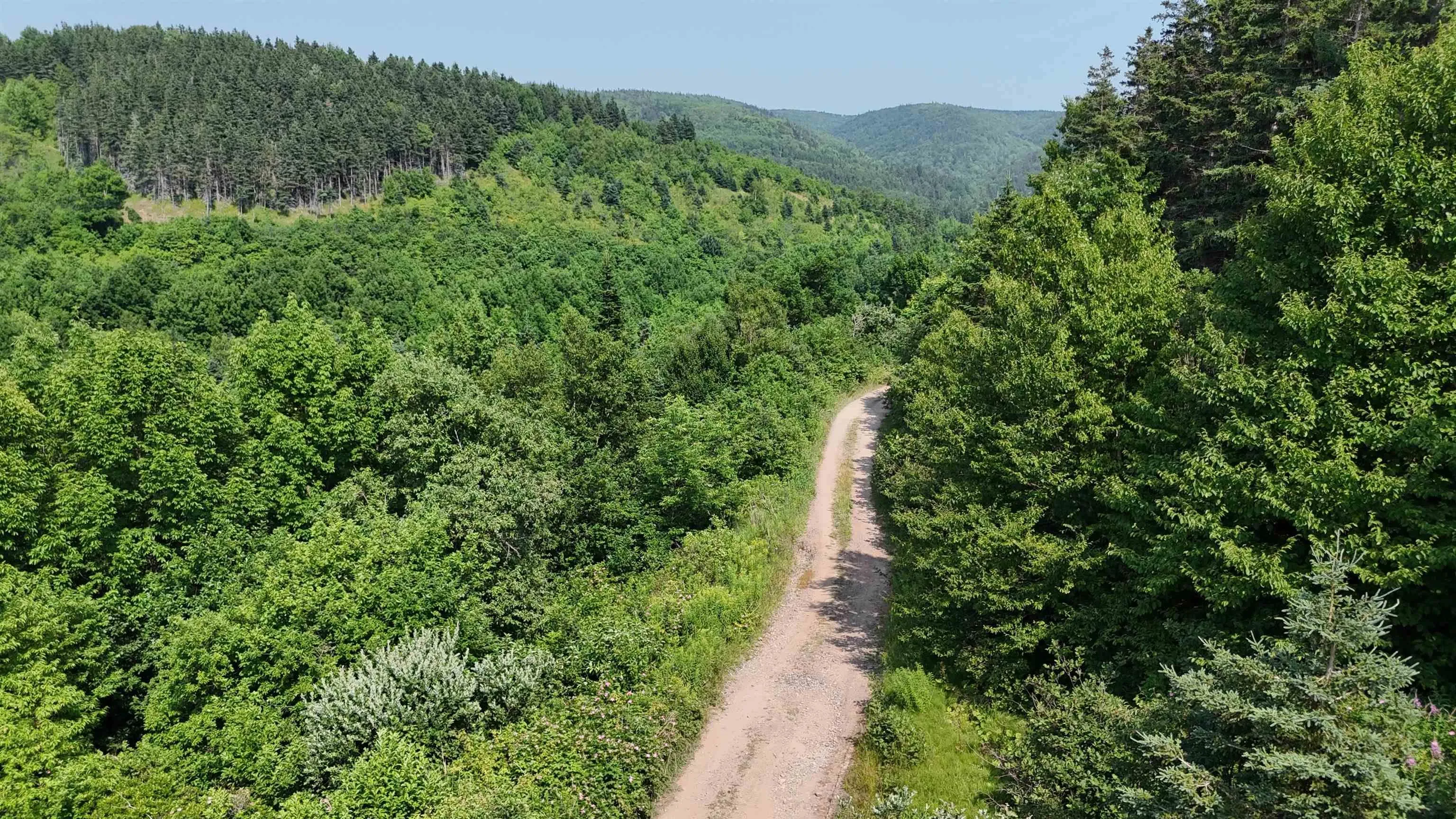 798 Mountain Road, Mabou Mines, NS B0E 1X0, ,Land,For Sale,Mountain,202518072