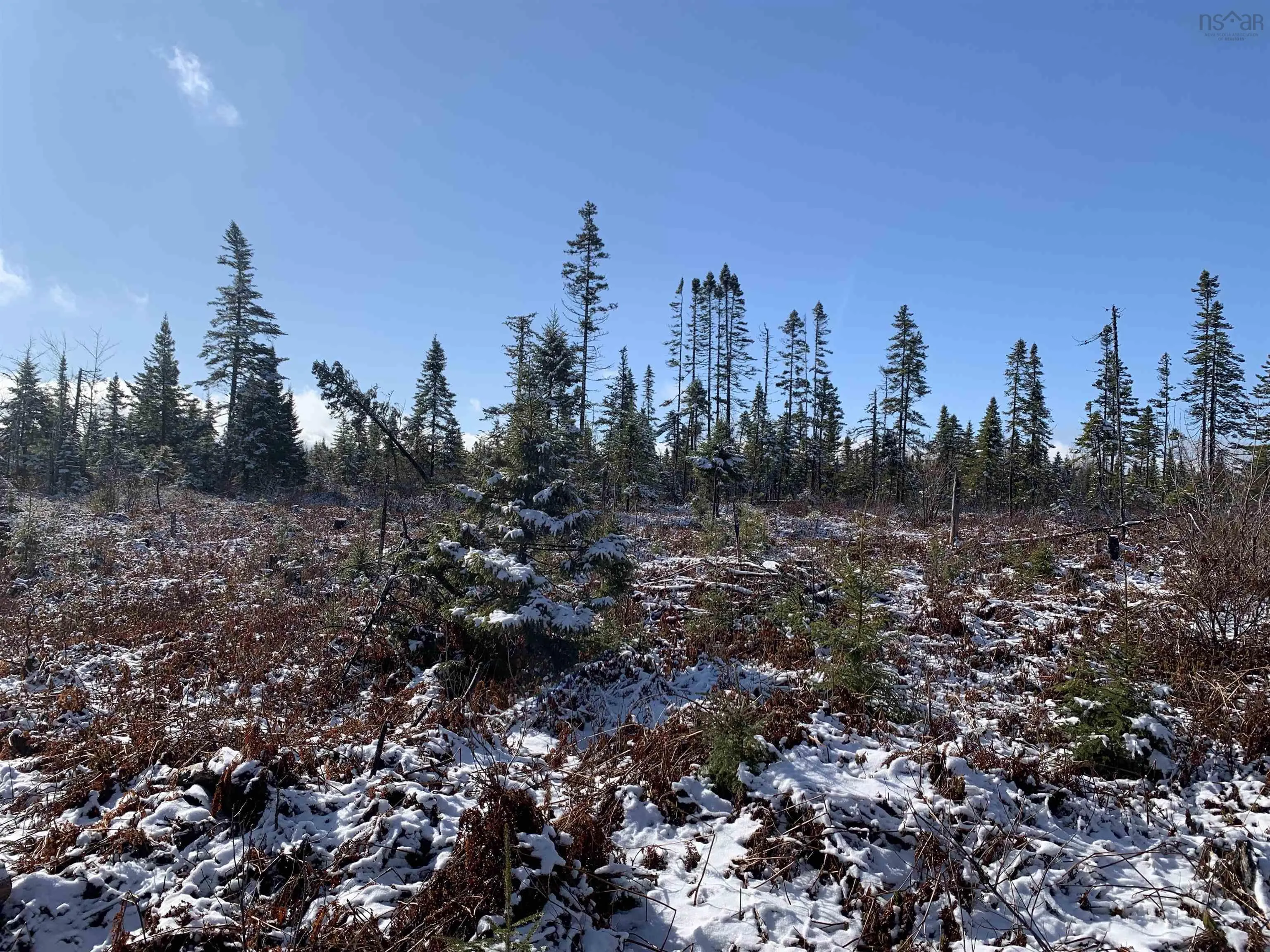 Palmer Road Lot 5, Wentworth Valley Ns B0m 1z0, ,Land,For Sale,Palmer,202507662