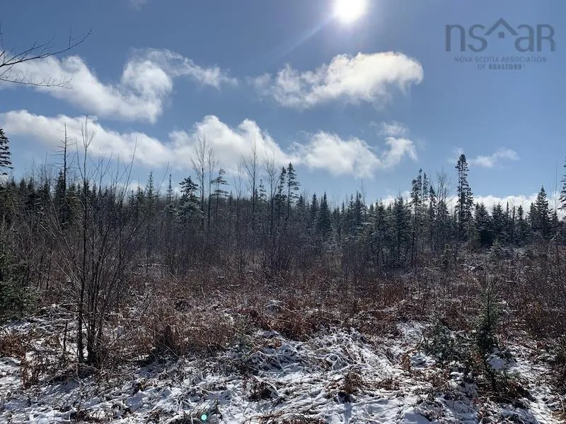 Palmer Road Lot 5, Wentworth Valley Ns B0m 1z0, ,Land,For Sale,Palmer,202507662