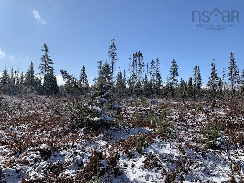 Palmer Road Lot 5, Wentworth Valley Ns B0m 1z0, ,Land,For Sale,Palmer,202507662
