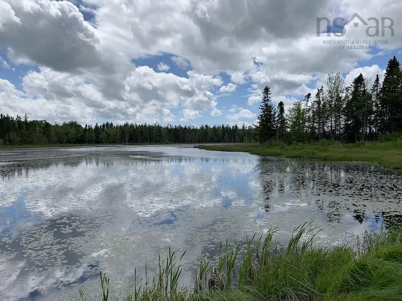 Palmer Road Lot 5, Wentworth Valley Ns B0m 1z0, ,Land,For Sale,Palmer,202507662