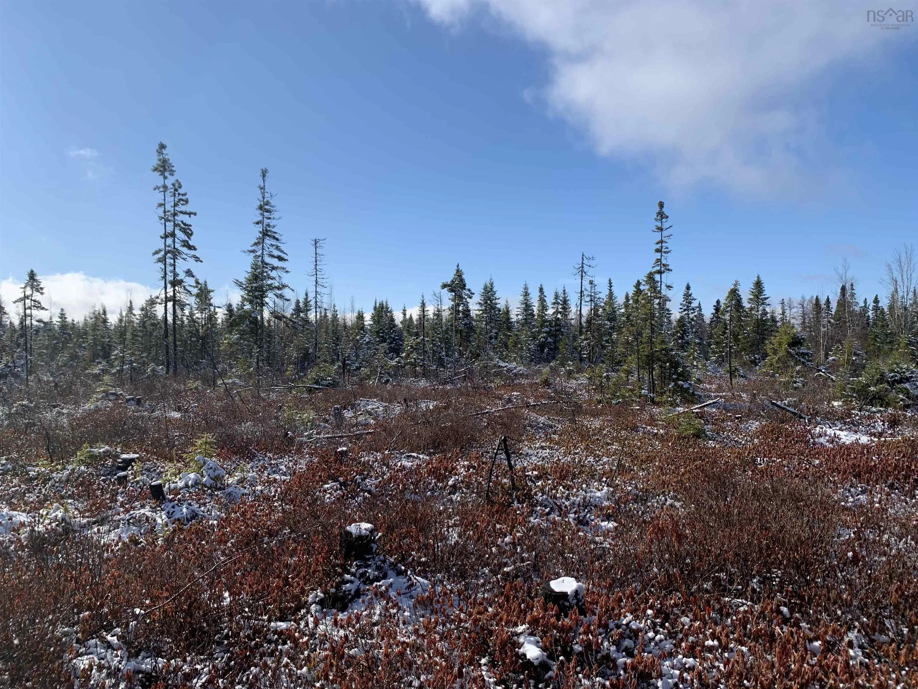Palmer Road Lot 5, Wentworth Valley Ns B0m 1z0, ,Land,For Sale,Palmer,202507662