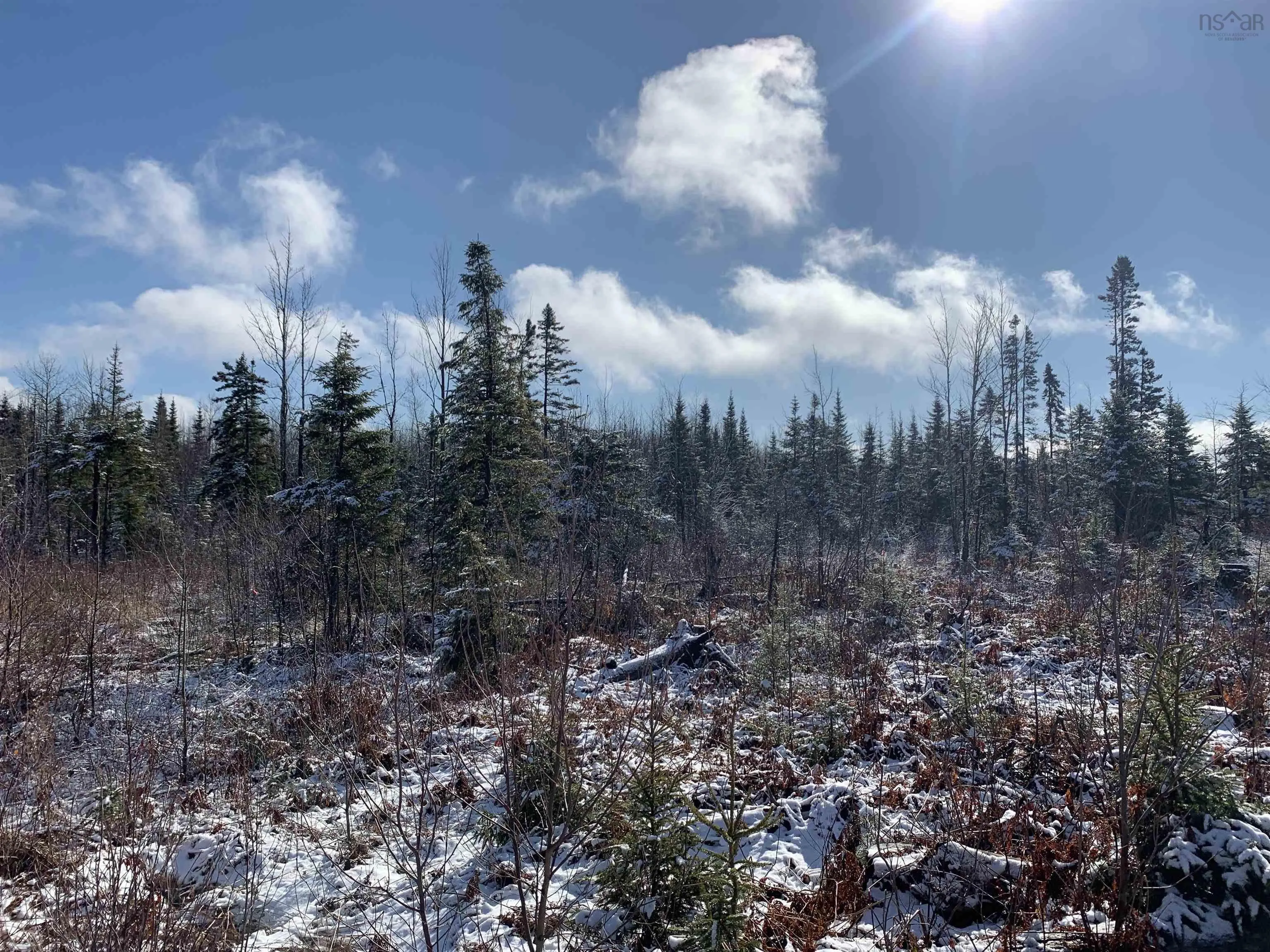 Palmer Road Lot 5, Wentworth Valley Ns B0m 1z0, ,Land,For Sale,Palmer,202507662