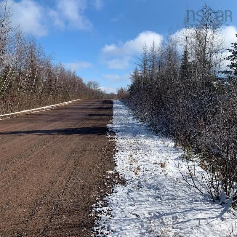 Palmer Road Lot 5, Wentworth Valley Ns B0m 1z0, ,Land,For Sale,Palmer,202507662