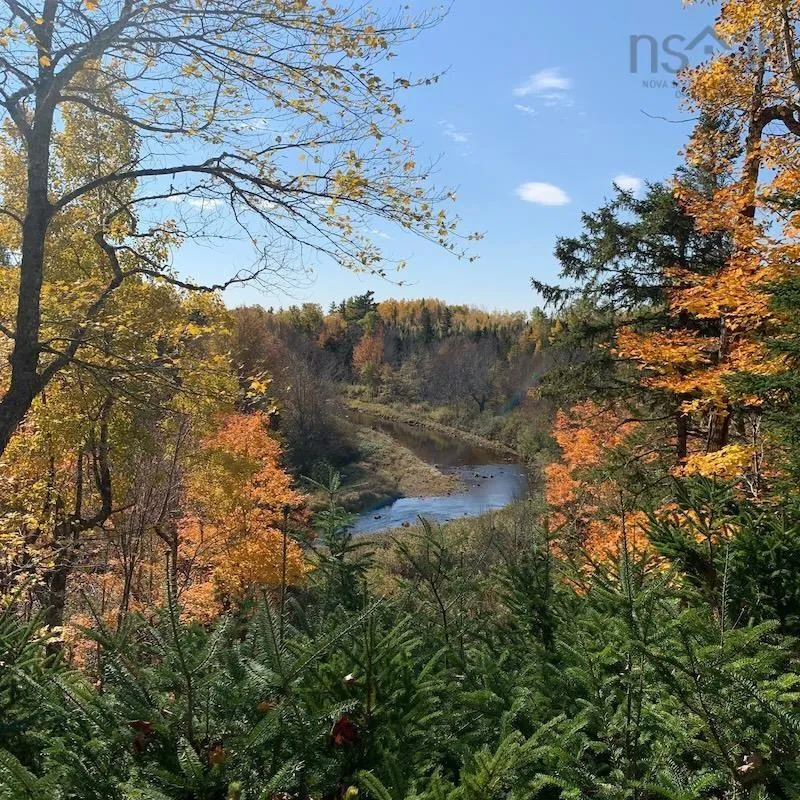 Palmer Road Lot 5, Wentworth Valley Ns B0m 1z0, ,Land,For Sale,Palmer,202507662
