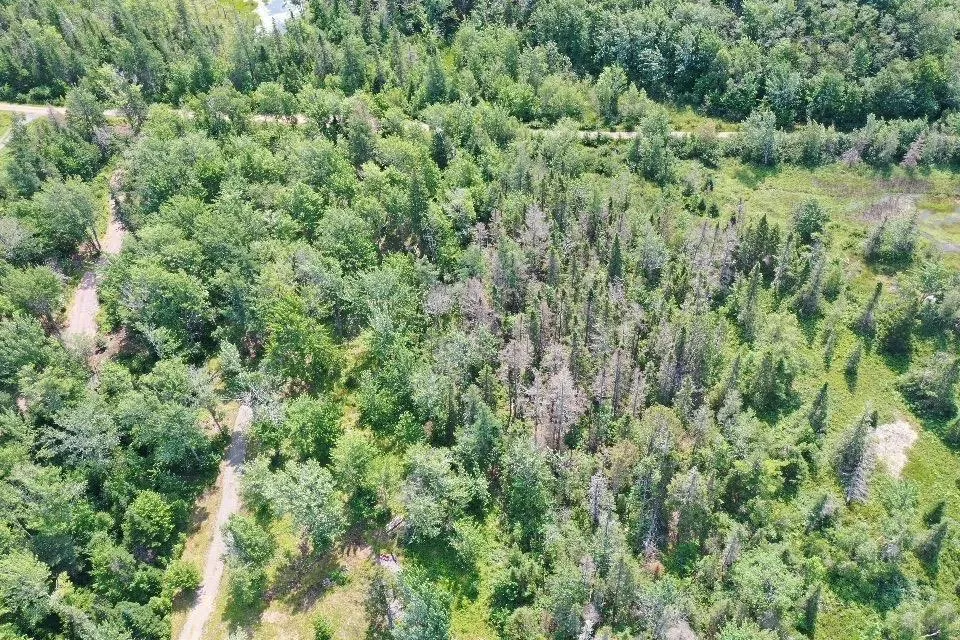 329 Chisholm Road Lot 1, Conns Mills Ns B0k 1l0, ,Residential,For Sale,Chisholm,202501890