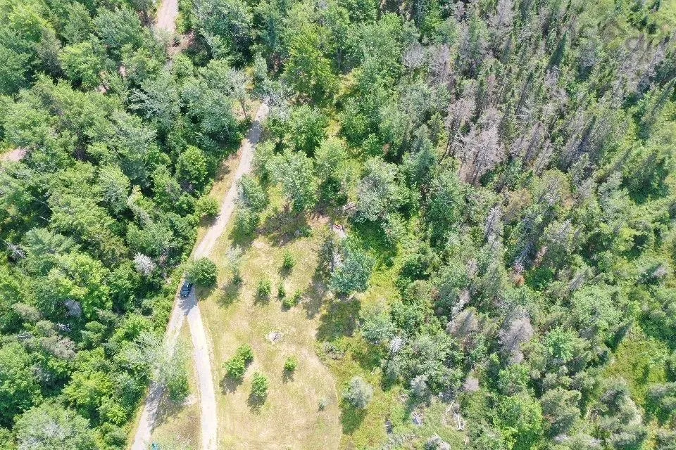 329 Chisholm Road Lot 1, Conns Mills Ns B0k 1l0, ,Residential,For Sale,Chisholm,202501890