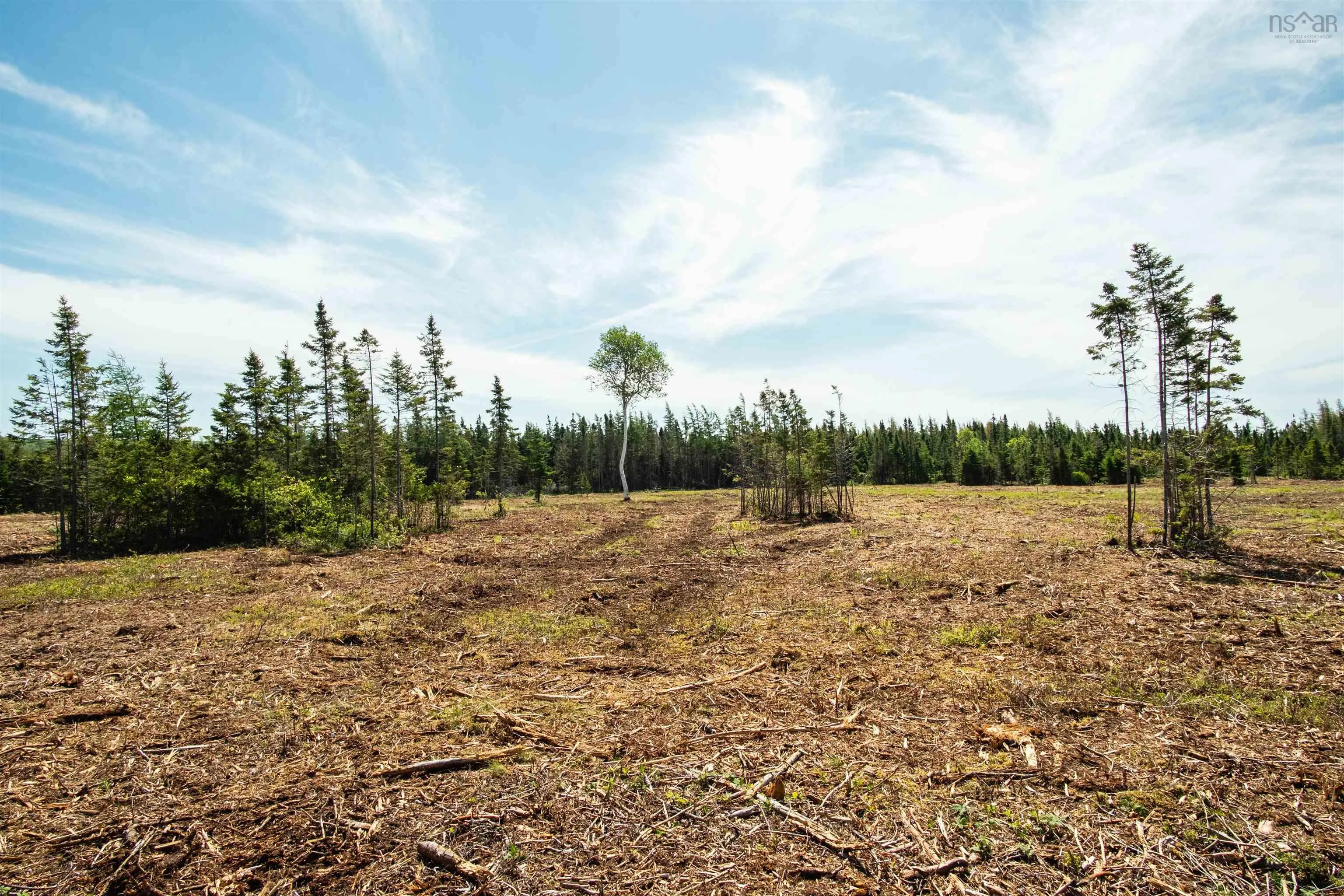 Alpine Ridge Road Lot 5, Mabou Ns B0e 1x0, ,Land,For Sale,Alpine Ridge,202506917