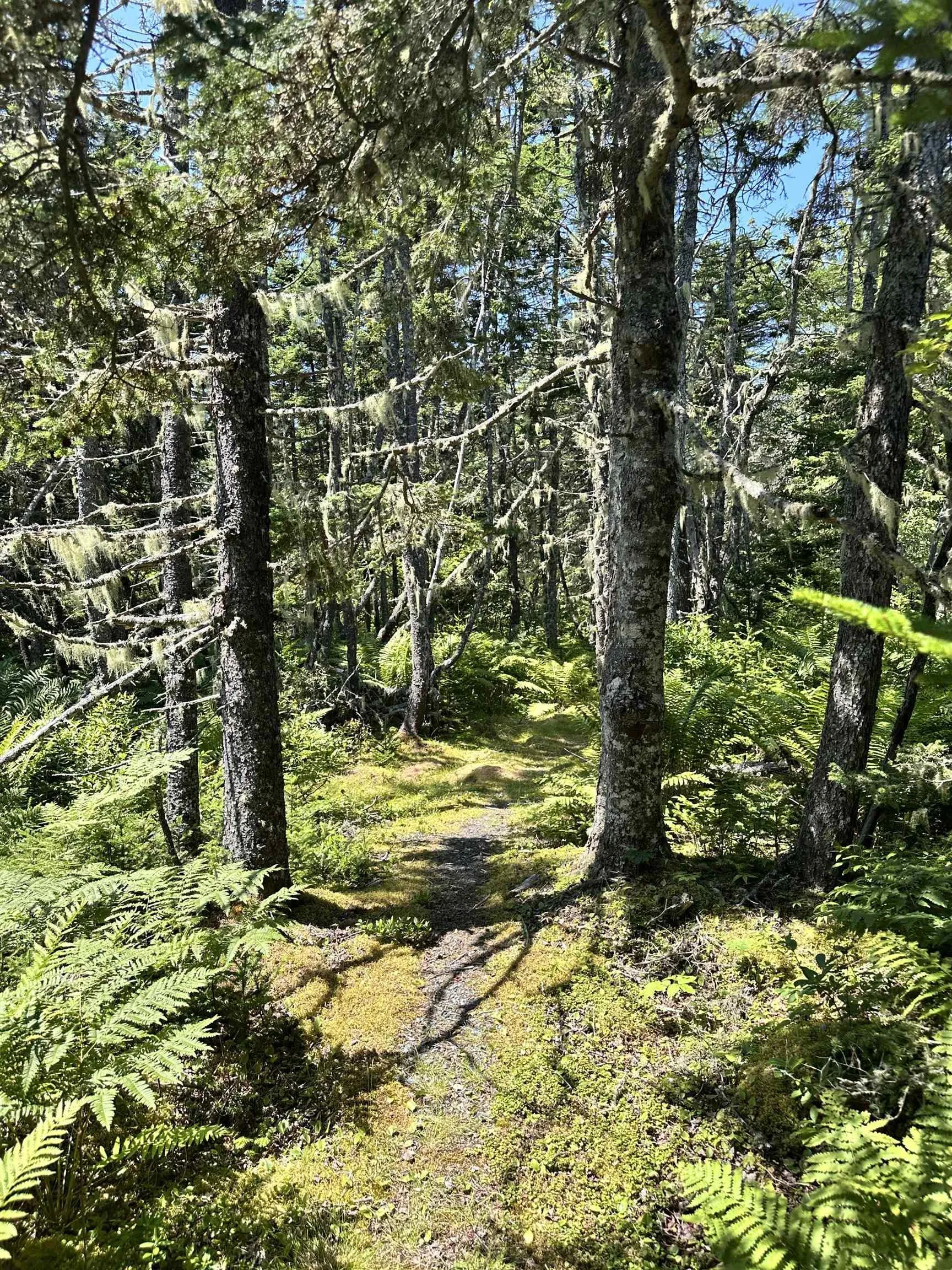 850 Rockland Road, East Side Of Ragged Island, NS B0T 1V0, 3 Bedrooms Bedrooms, ,1 BathroomBathrooms,Residential,For Sale,Rockland,202519240
