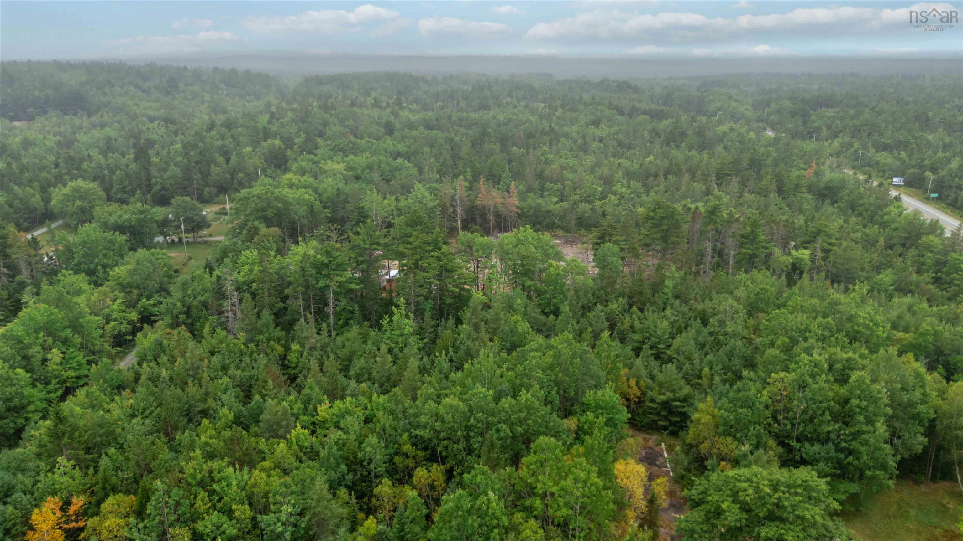 100 Llewellyn Loop Road, Middlewood, NS B4V 6L4, ,Land,For Sale,Llewellyn Loop,202520673
