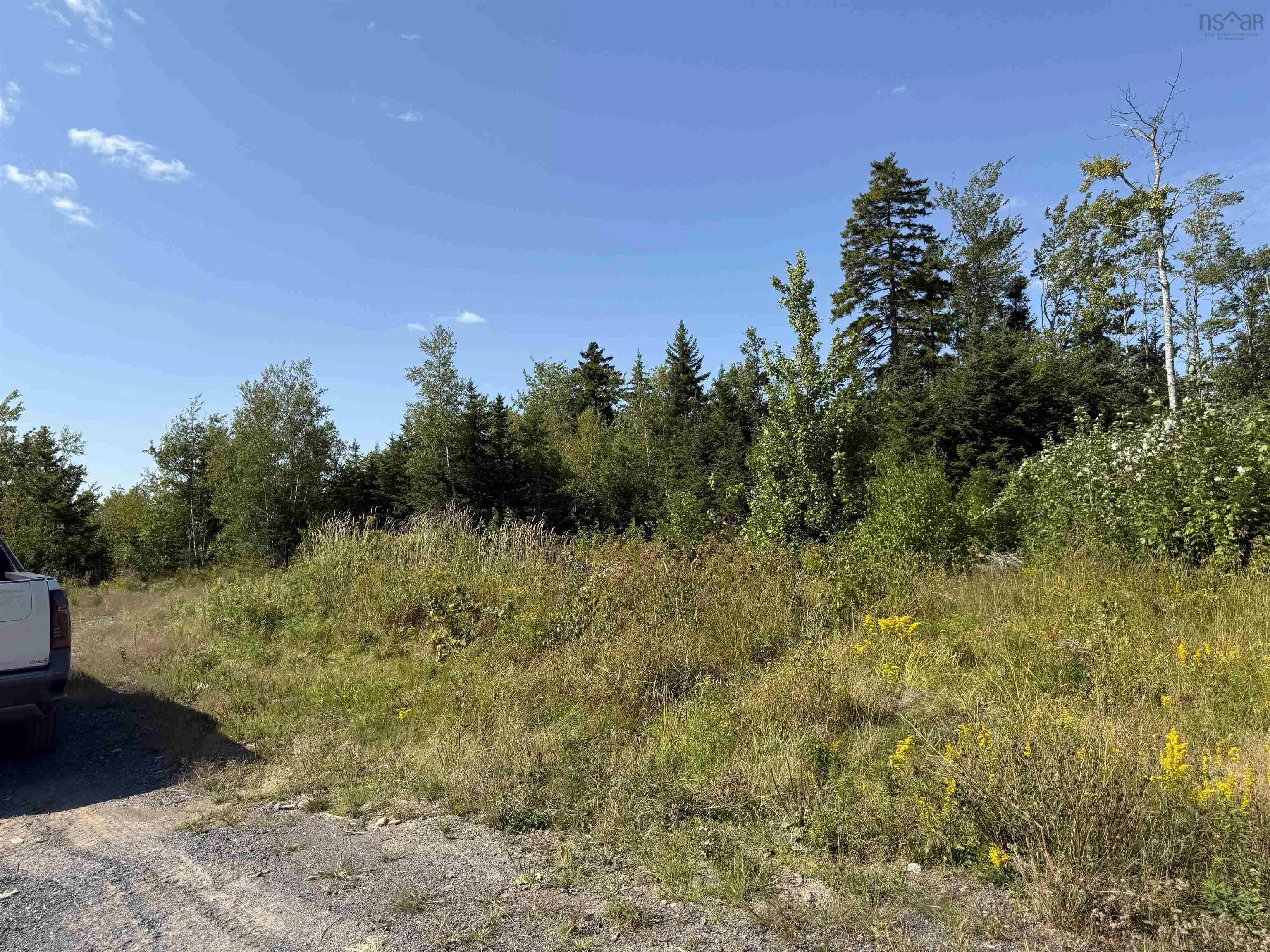 Land Beck Road, Scotch Hill, NS B0K 1H0, ,Land,For Sale,Beck,202522298