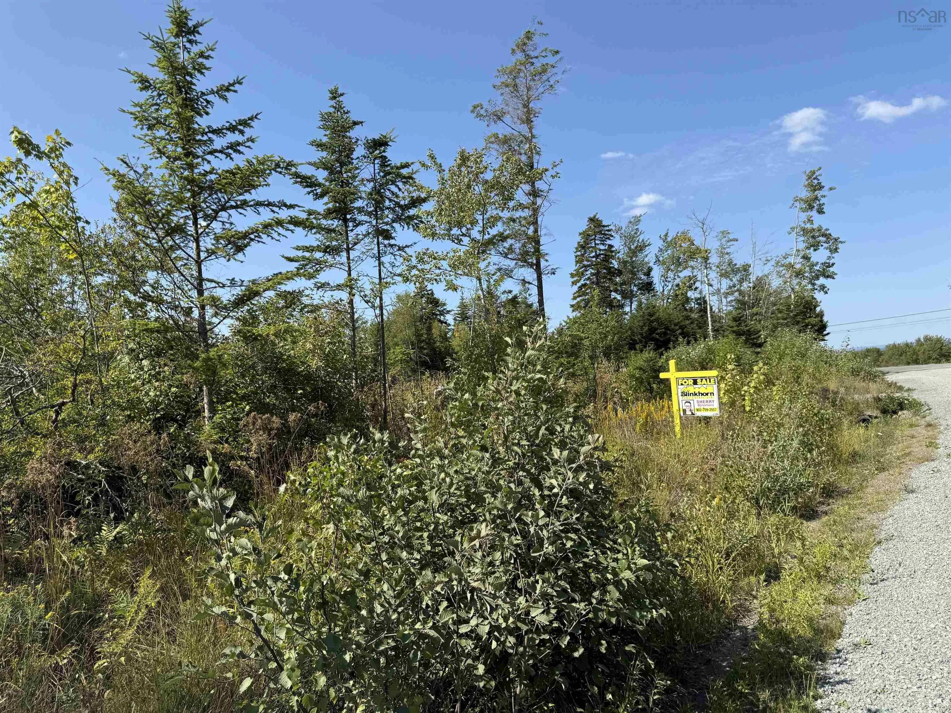 Land Beck Road, Scotch Hill, NS B0K 1H0, ,Land,For Sale,Beck,202522298
