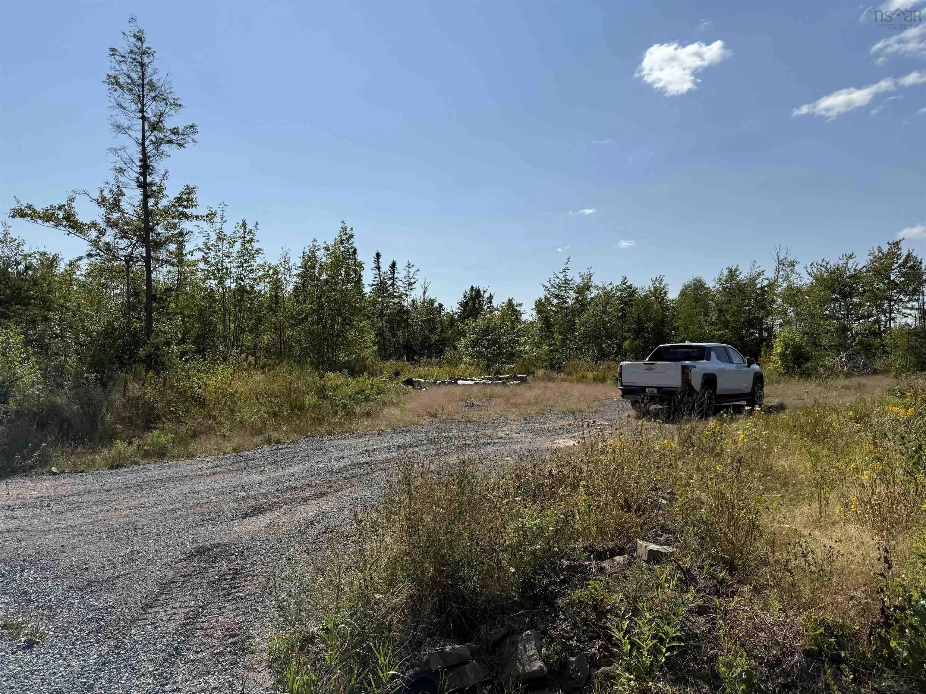 Land Beck Road, Scotch Hill, NS B0K 1H0, ,Land,For Sale,Beck,202522298