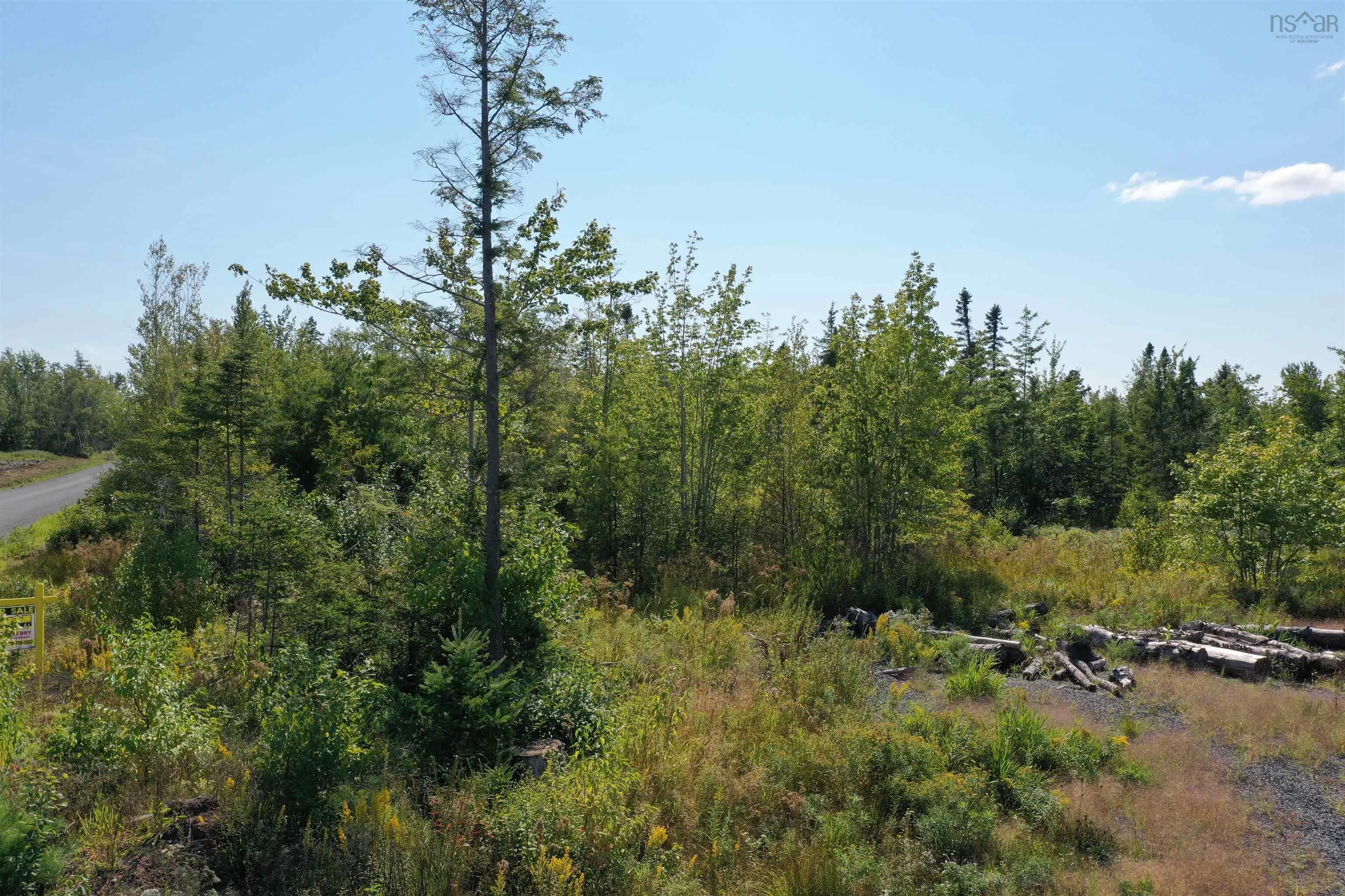 Land Beck Road, Scotch Hill, NS B0K 1H0, ,Land,For Sale,Beck,202522298