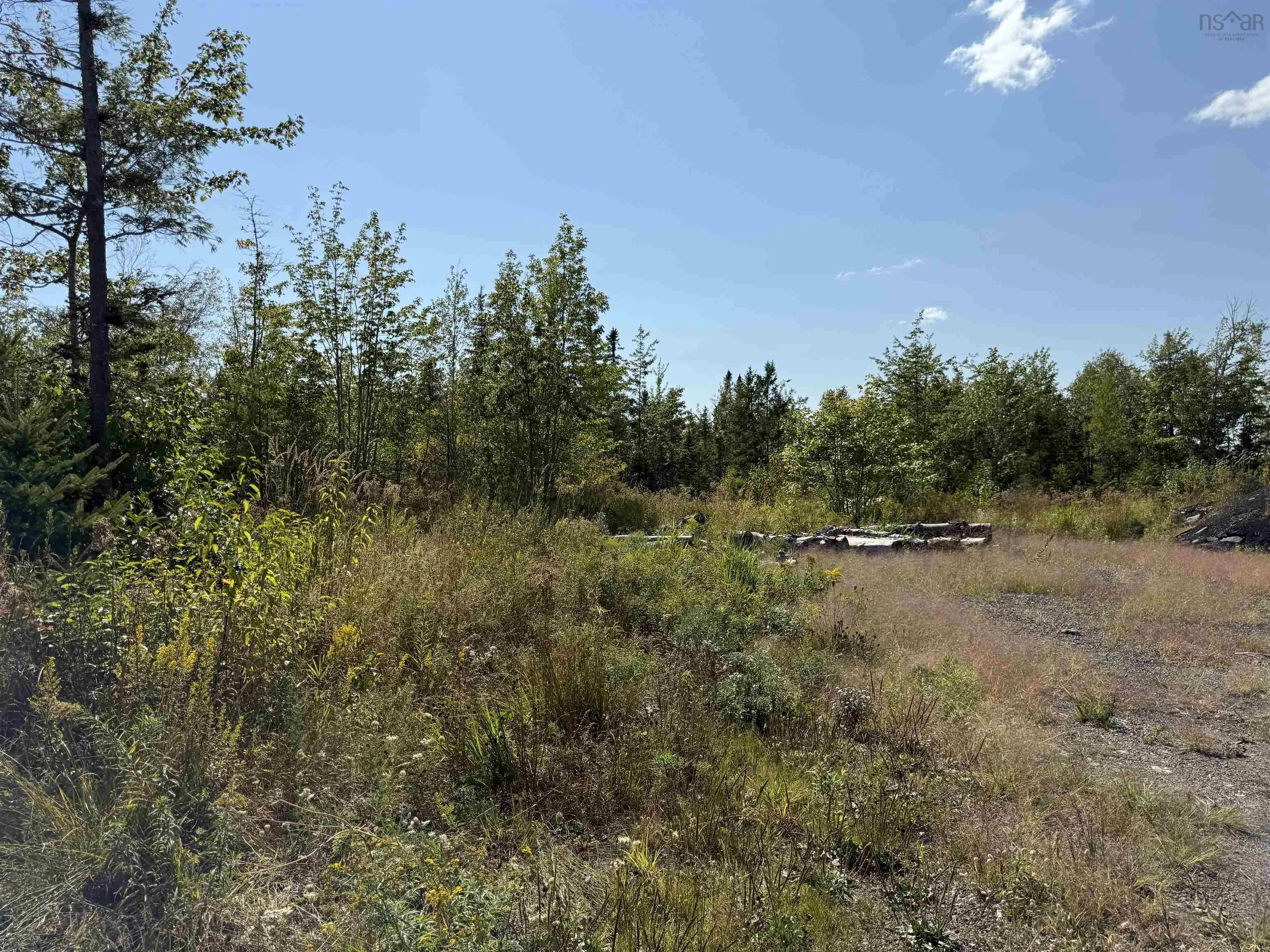 Land Beck Road, Scotch Hill, NS B0K 1H0, ,Land,For Sale,Beck,202522298