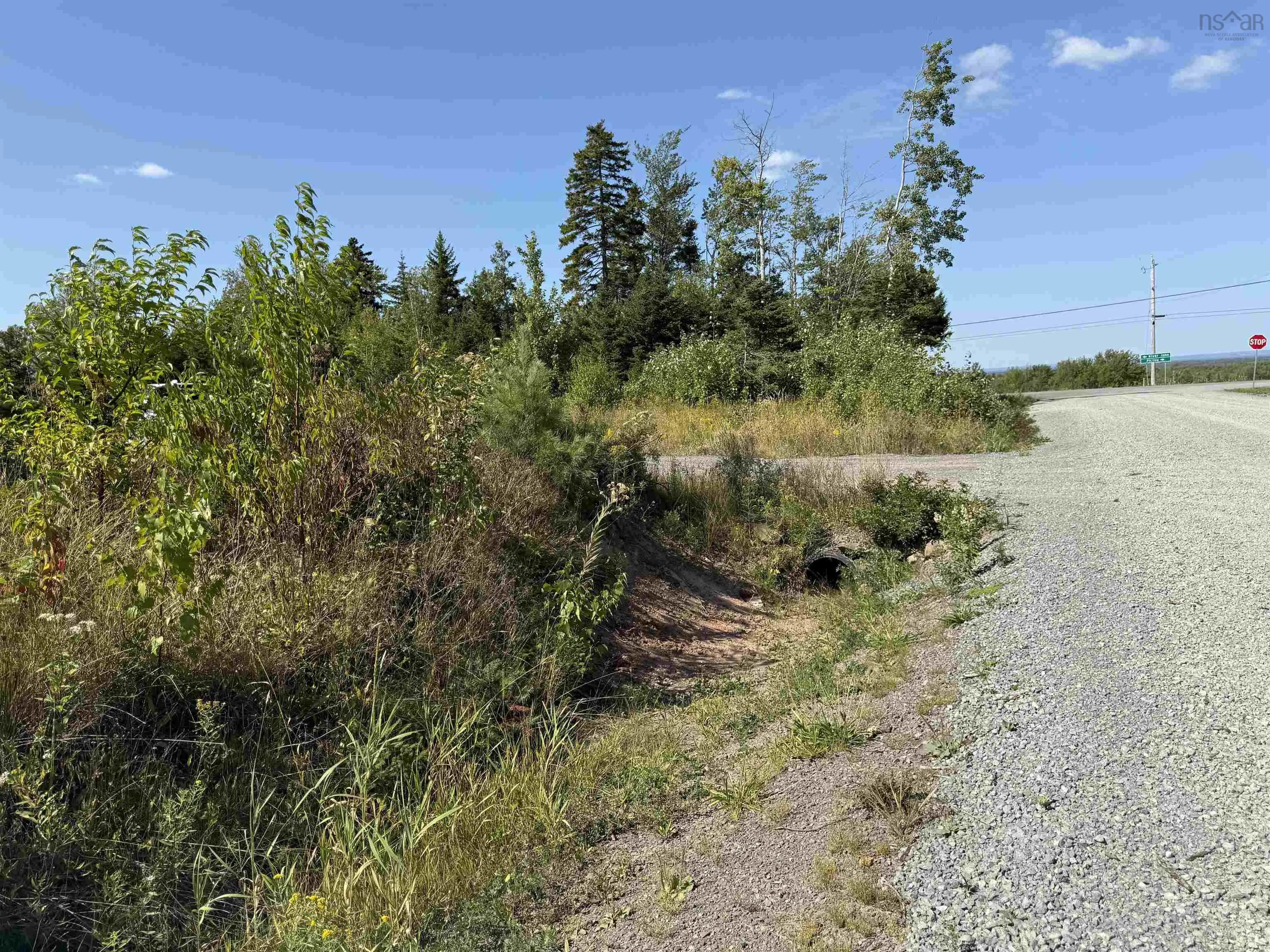 Land Beck Road, Scotch Hill, NS B0K 1H0, ,Land,For Sale,Beck,202522298