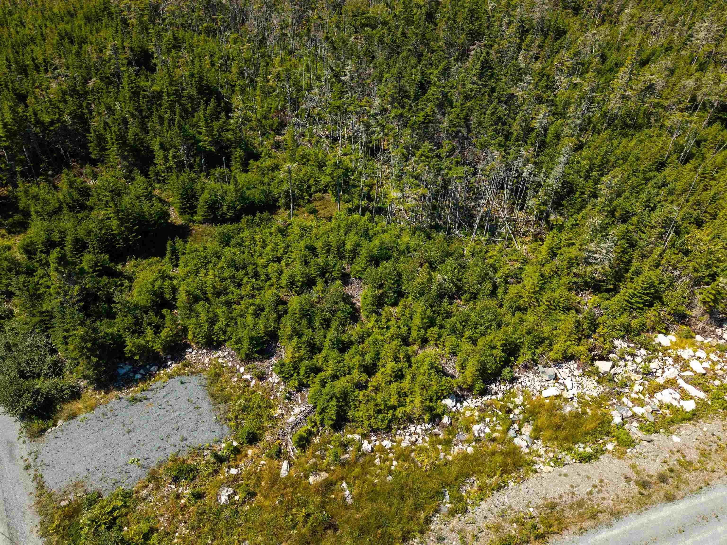 2875 Ostrea Lake Road, Pleasant Point, NS B0J 2L0, ,Land,For Sale,Ostrea Lake,202521959