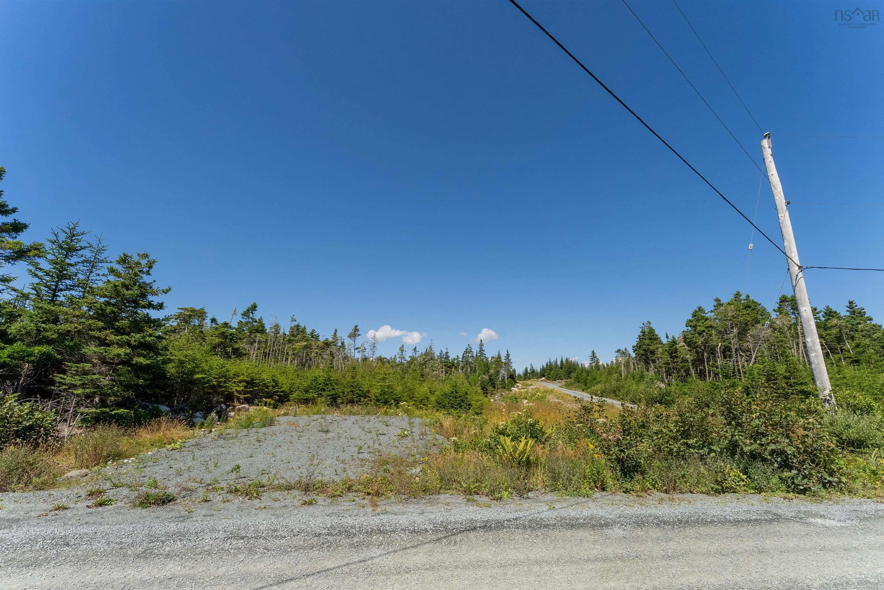 2875 Ostrea Lake Road, Pleasant Point, NS B0J 2L0, ,Land,For Sale,Ostrea Lake,202521959