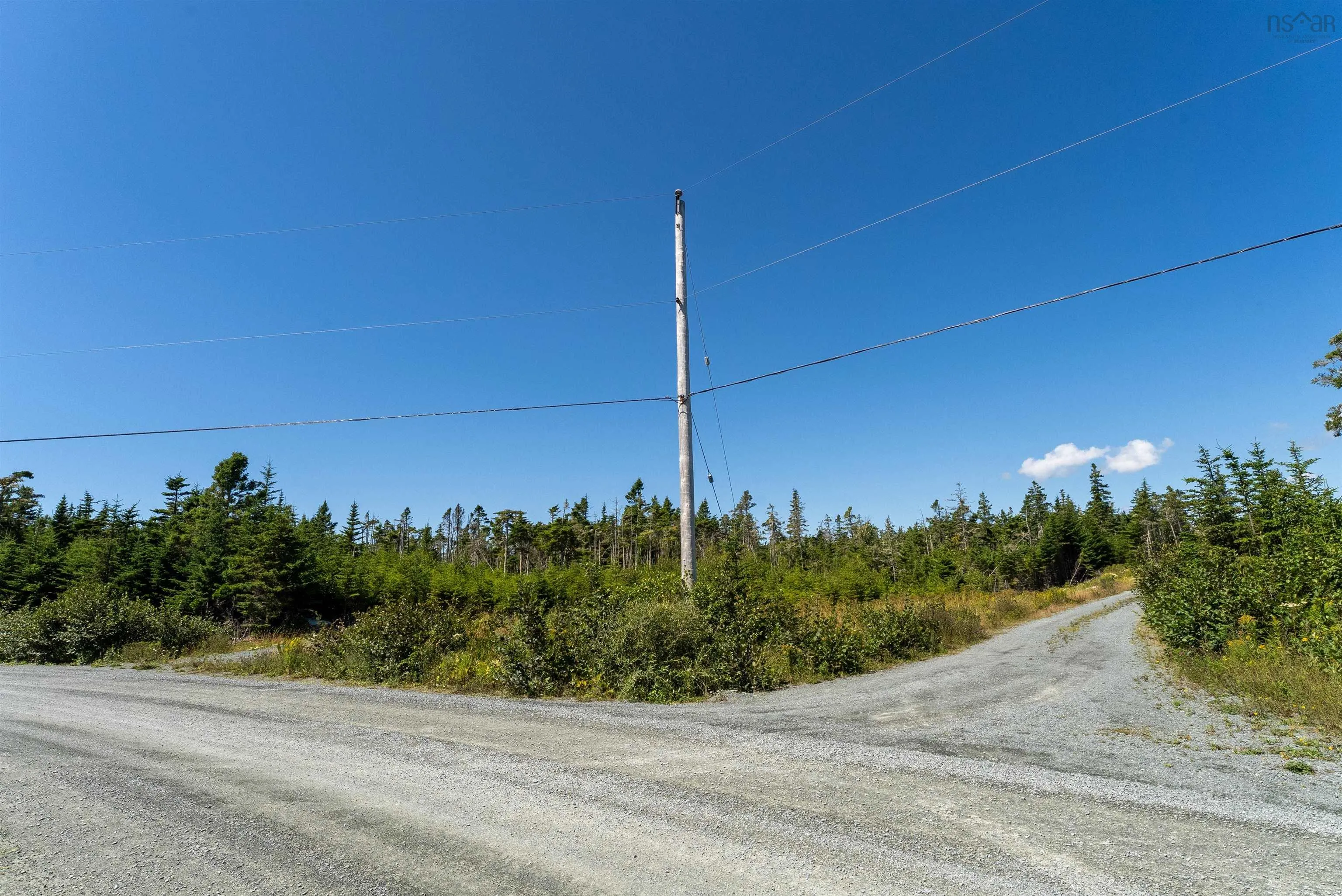 2875 Ostrea Lake Road, Pleasant Point, NS B0J 2L0, ,Land,For Sale,Ostrea Lake,202521959