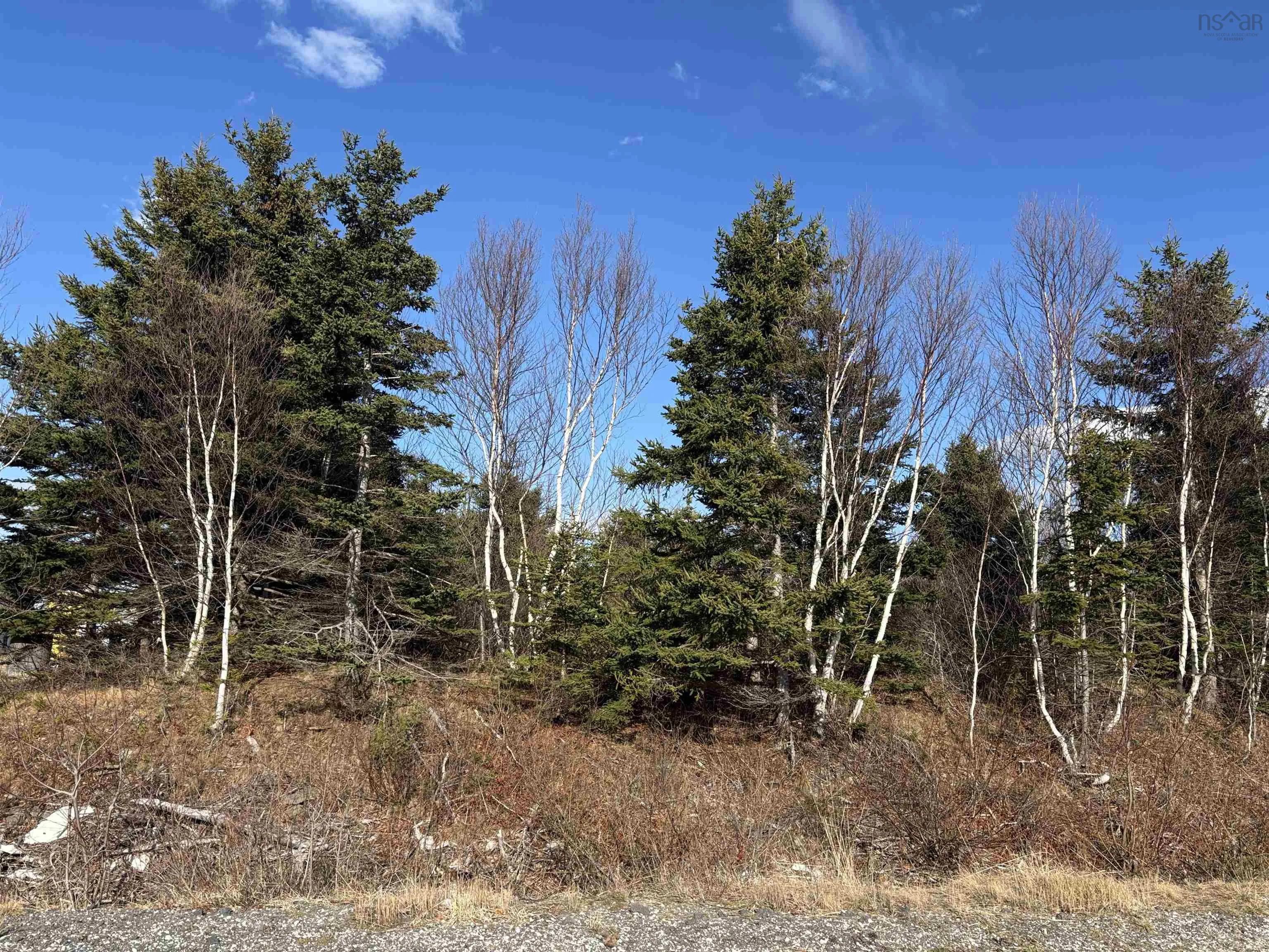 Lot 4 Mclellan Drive, Lingan Ns B1h 5g5, ,Land,For Sale,Mclellan,202505707