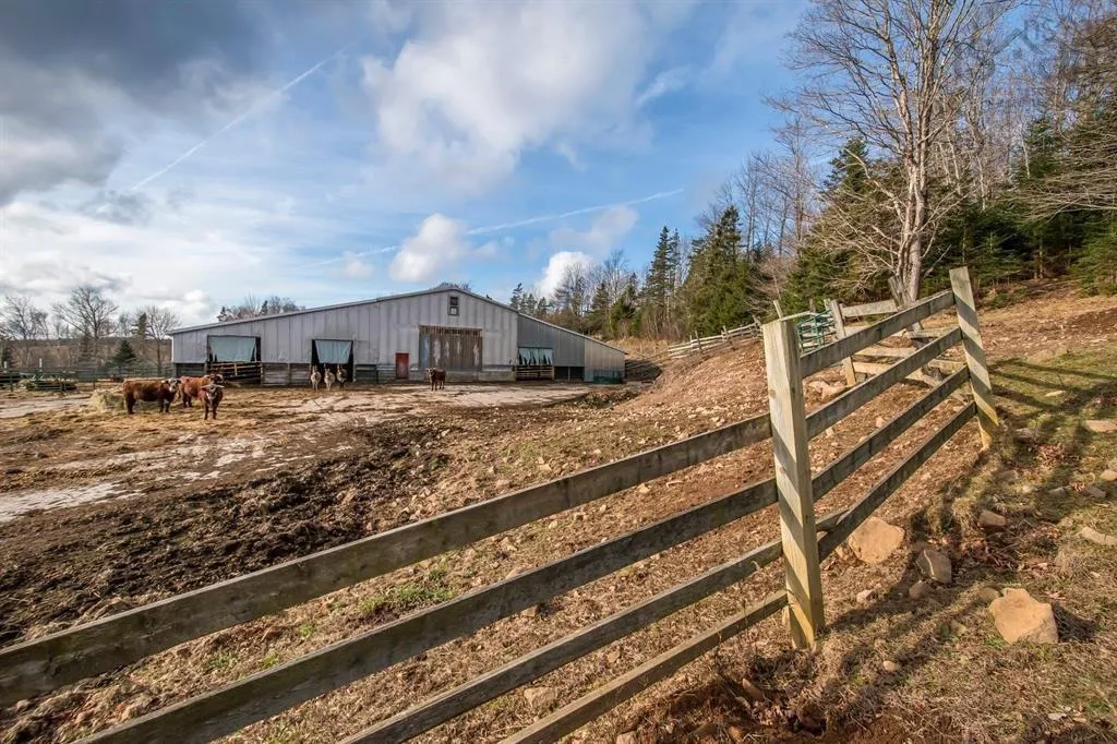 894 Morden Road, Weltons Corner, NS B0P 1C0, 5 Bedrooms Bedrooms, ,3 BathroomsBathrooms,Residential,For Sale,Morden,202524921