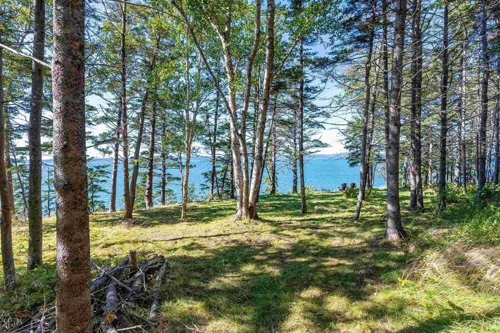 7093 Highway 101, Plympton Ns B0w 2r0, 2 Bedrooms Bedrooms, ,1 BathroomBathrooms,Residential,For Sale,Highway 101,202506298