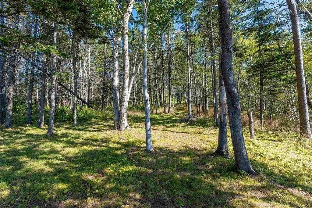 7093 Highway 101, Plympton Ns B0w 2r0, 2 Bedrooms Bedrooms, ,1 BathroomBathrooms,Residential,For Sale,Highway 101,202506298