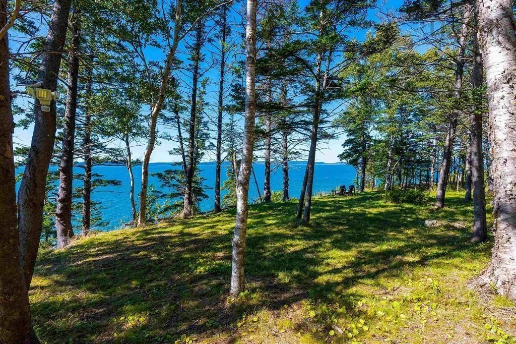 7093 Highway 101, Plympton Ns B0w 2r0, 2 Bedrooms Bedrooms, ,1 BathroomBathrooms,Residential,For Sale,Highway 101,202506298