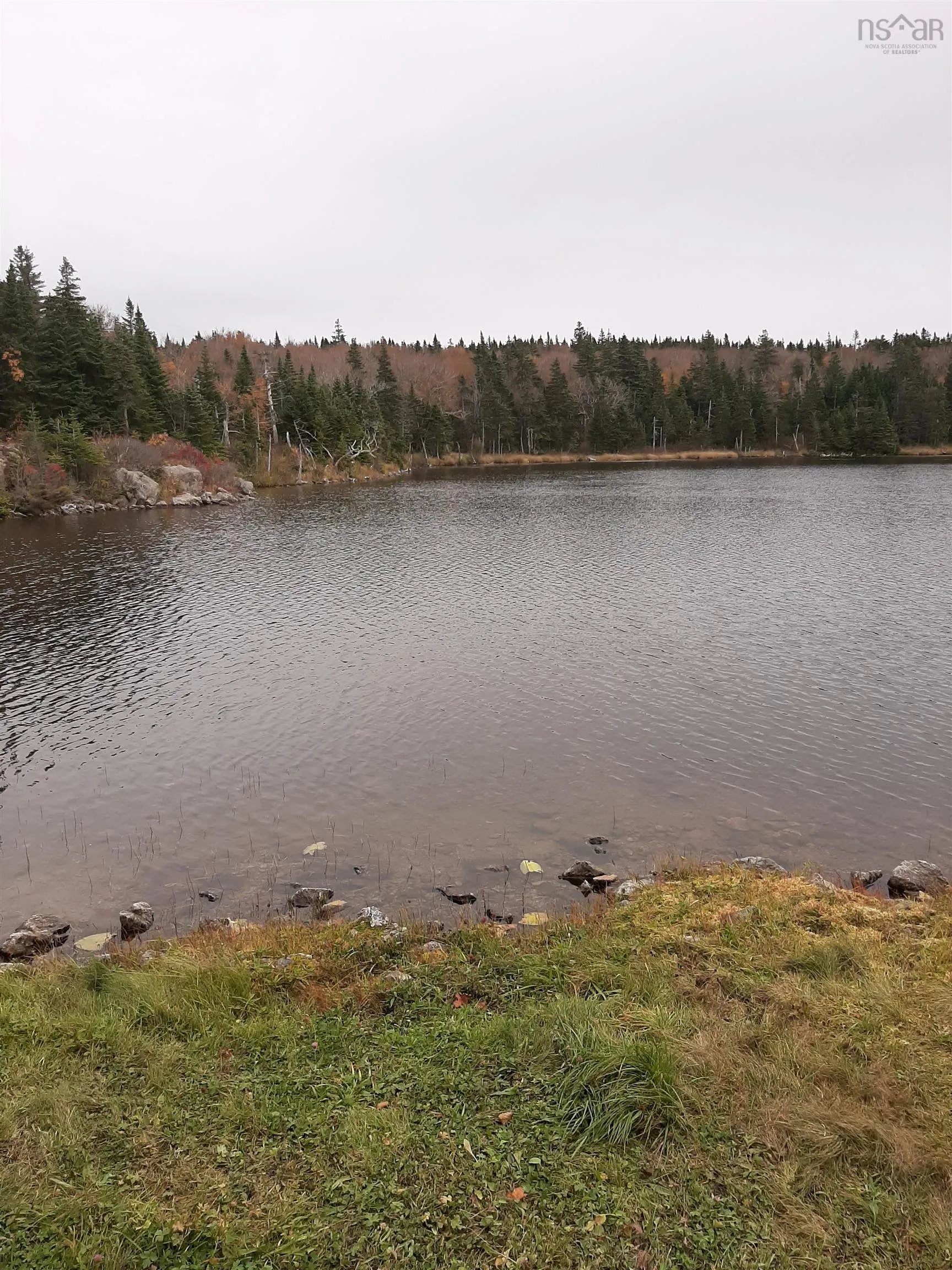 Tower Road, Plateau Ns B0e 1h0, ,Land,For Sale,Tower,202428569